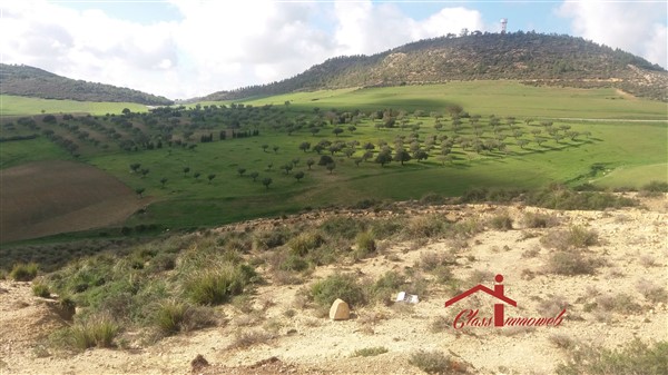 Mornag Mornag Terrain Terrain agricole Terrain agricole de 730 ha  5 md lha