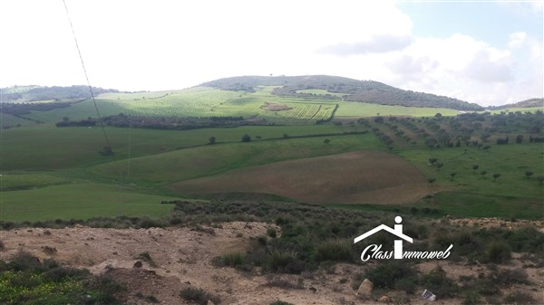 Mornag Mornag Terrain Terrain agricole Terrain agricole de 730 ha  5 md lha