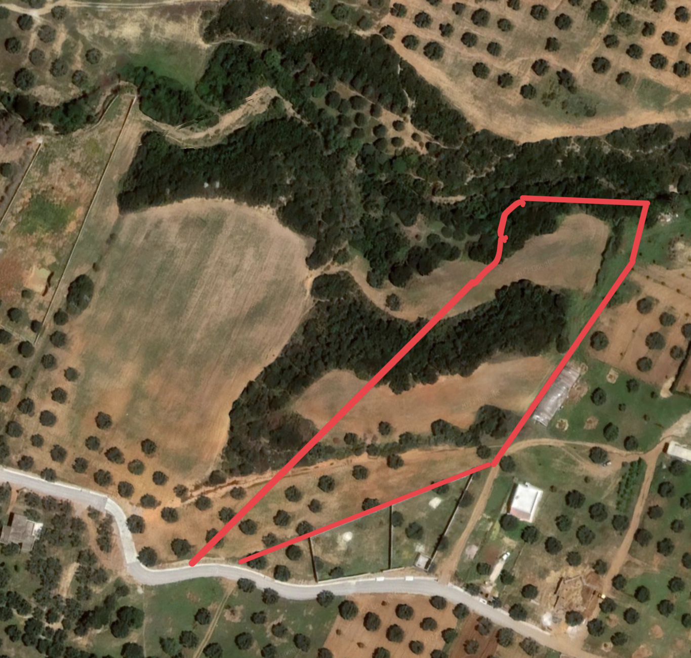Takelsa Rtiba Terrain Terrain agricole Terrain agricole pour investissement maison d hote