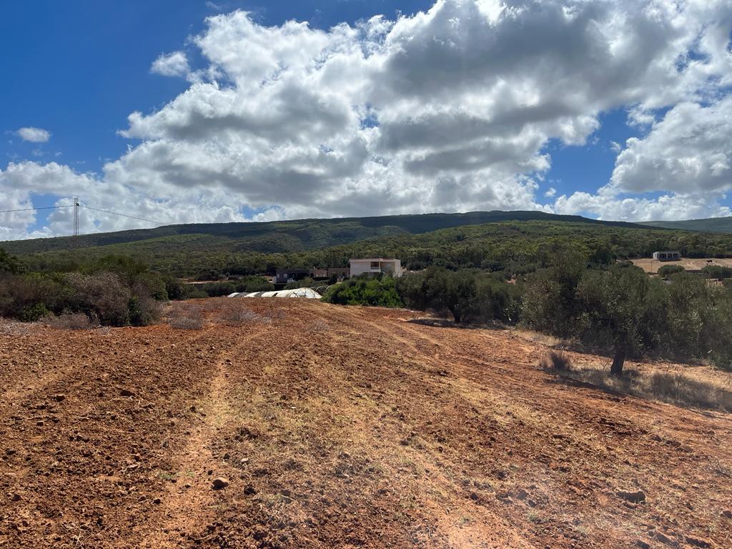 Takelsa Rtiba Terrain Terrain agricole Terrain agricole pour investissement maison d hote