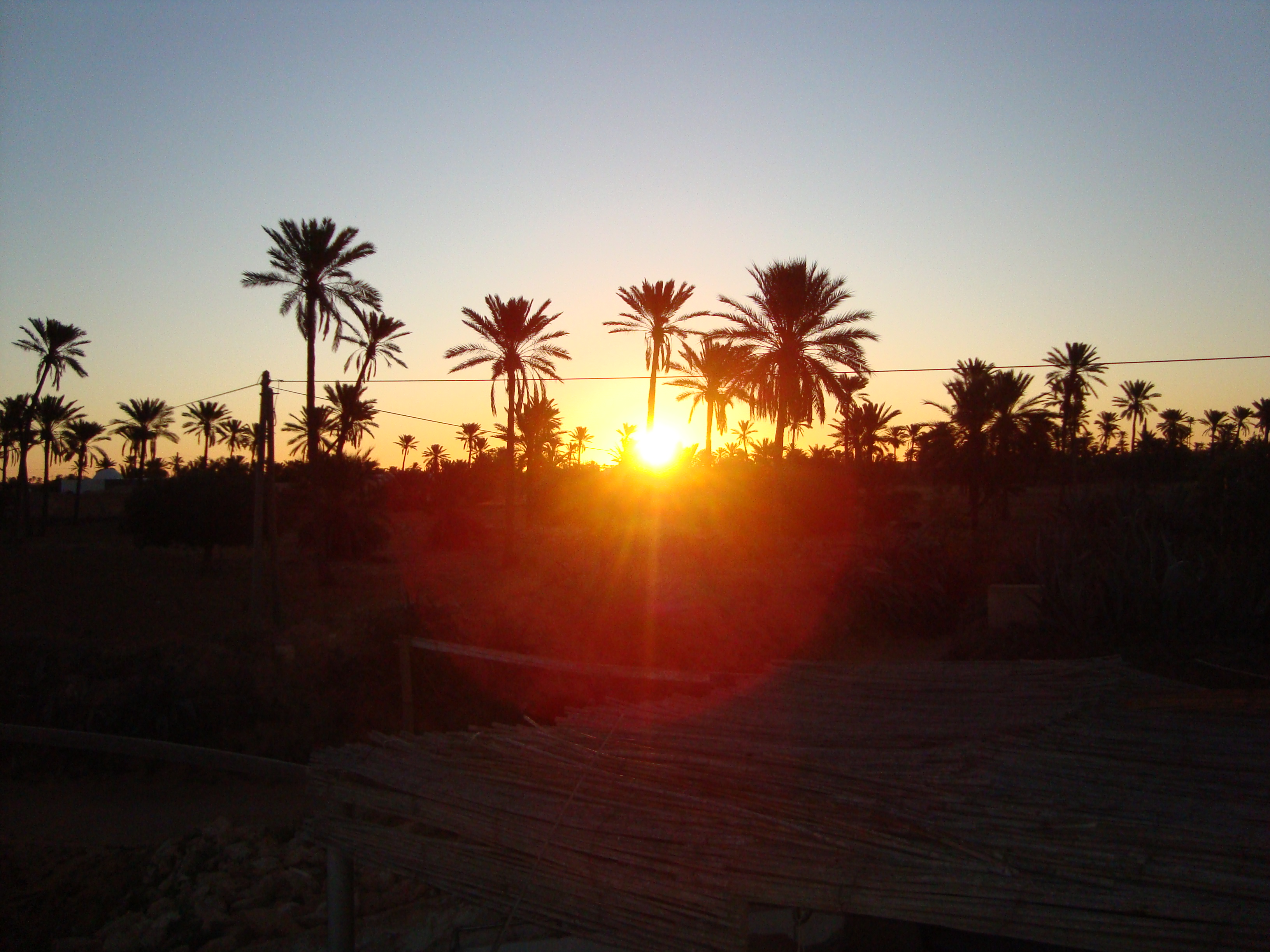 Djerba - Midoun Khazroun Terrain Terrain agricole Terrain avec petite maison titre