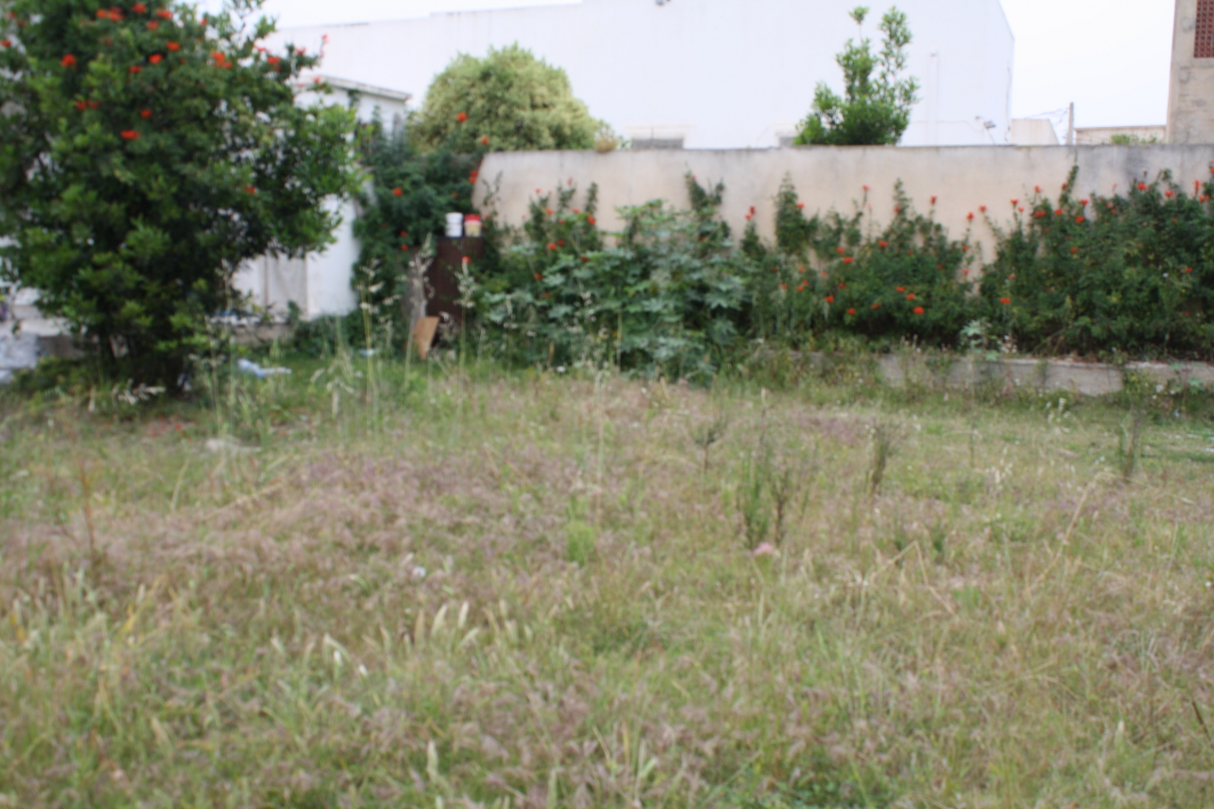 Hammam Chatt Hammam Chatt Vente Maisons Gps    maison plus  terrain nu