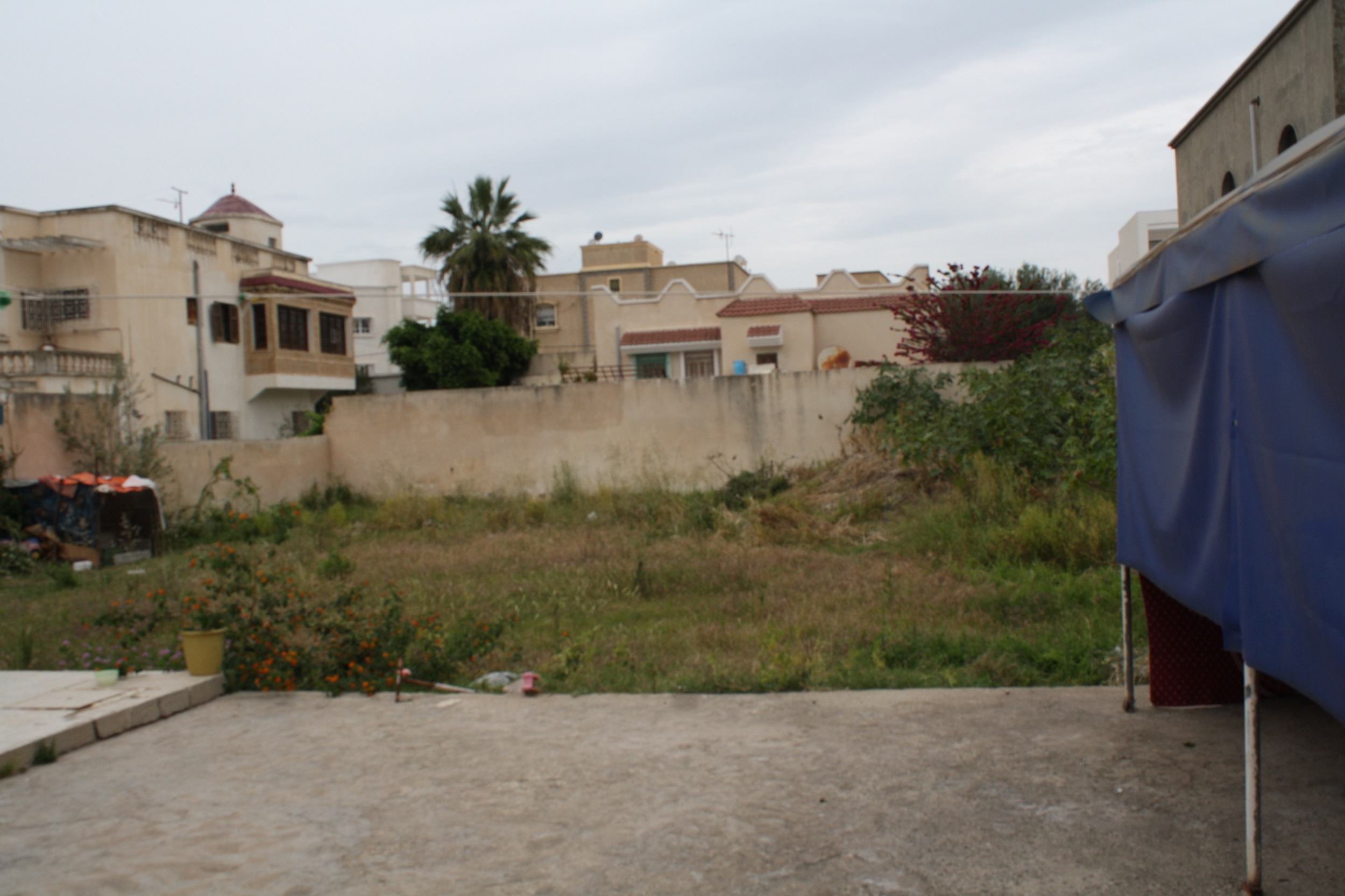 Hammam Chatt Hammam Chatt Terrain Terrain nu Gps  terrain nu titr