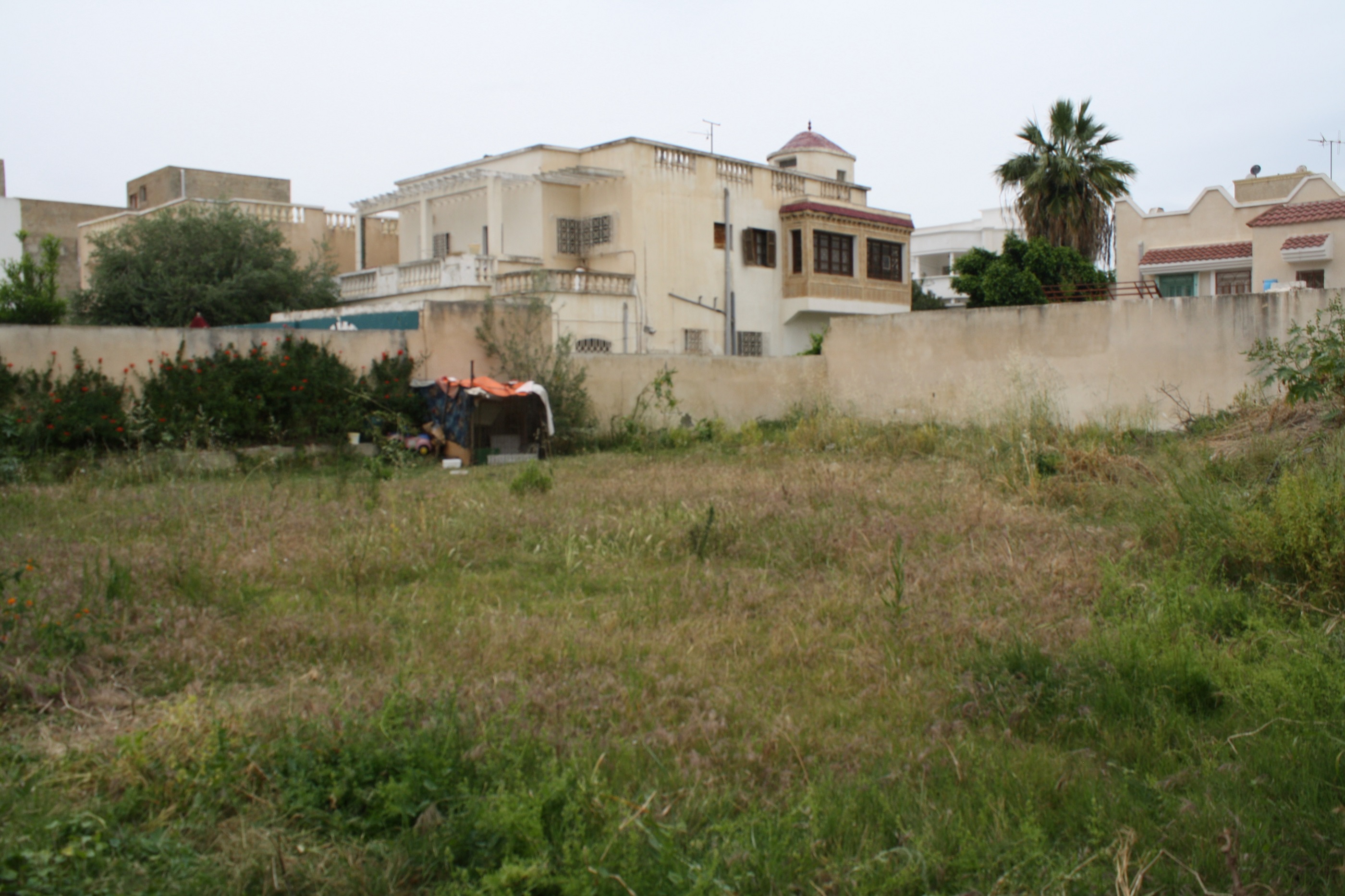 Hammam Chatt Hammam Chatt Terrain Terrain nu Gps  terrain nu titr