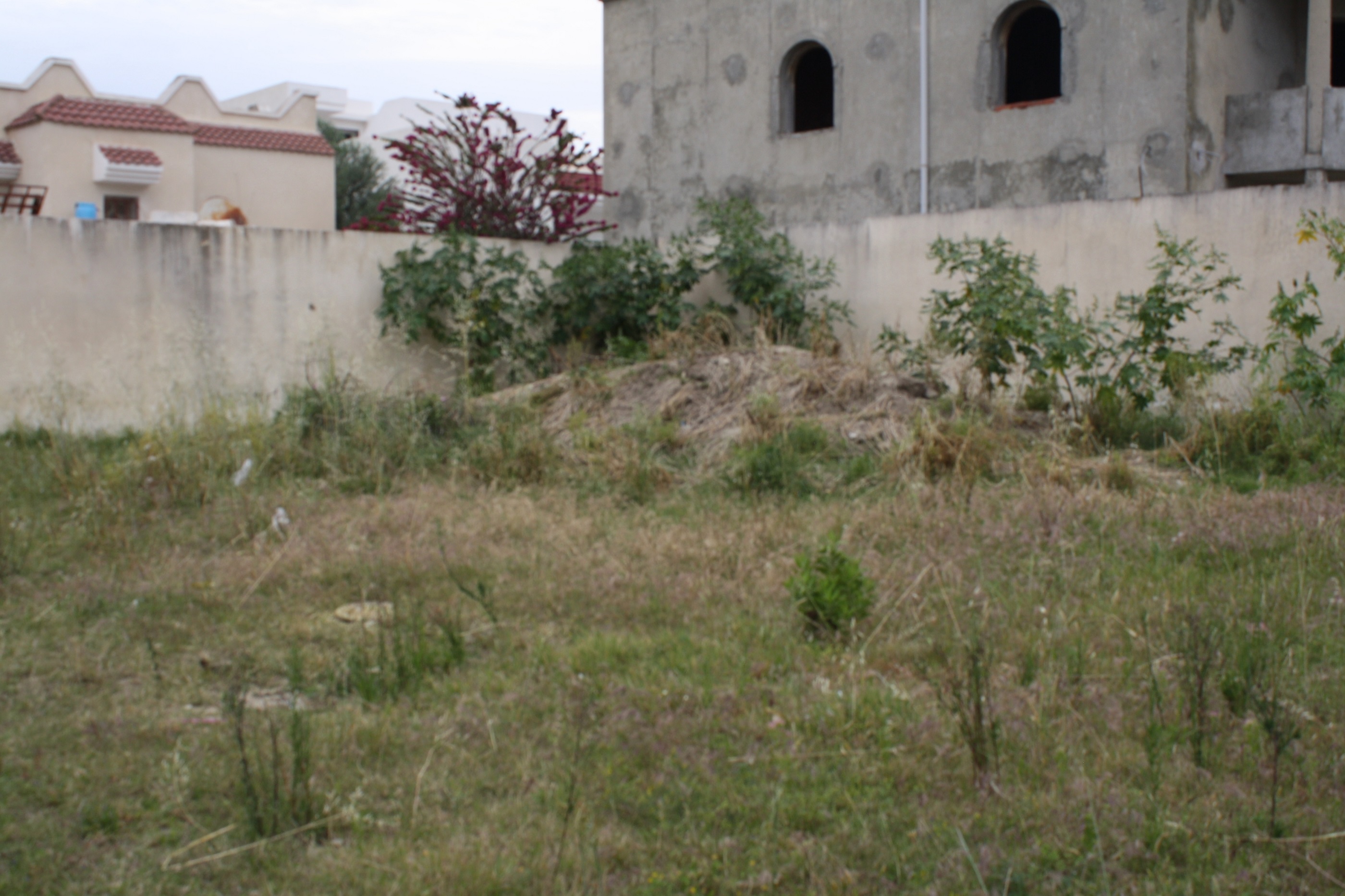Hammam Chatt Hammam Chatt Terrain Terrain nu Gps  terrain nu titr