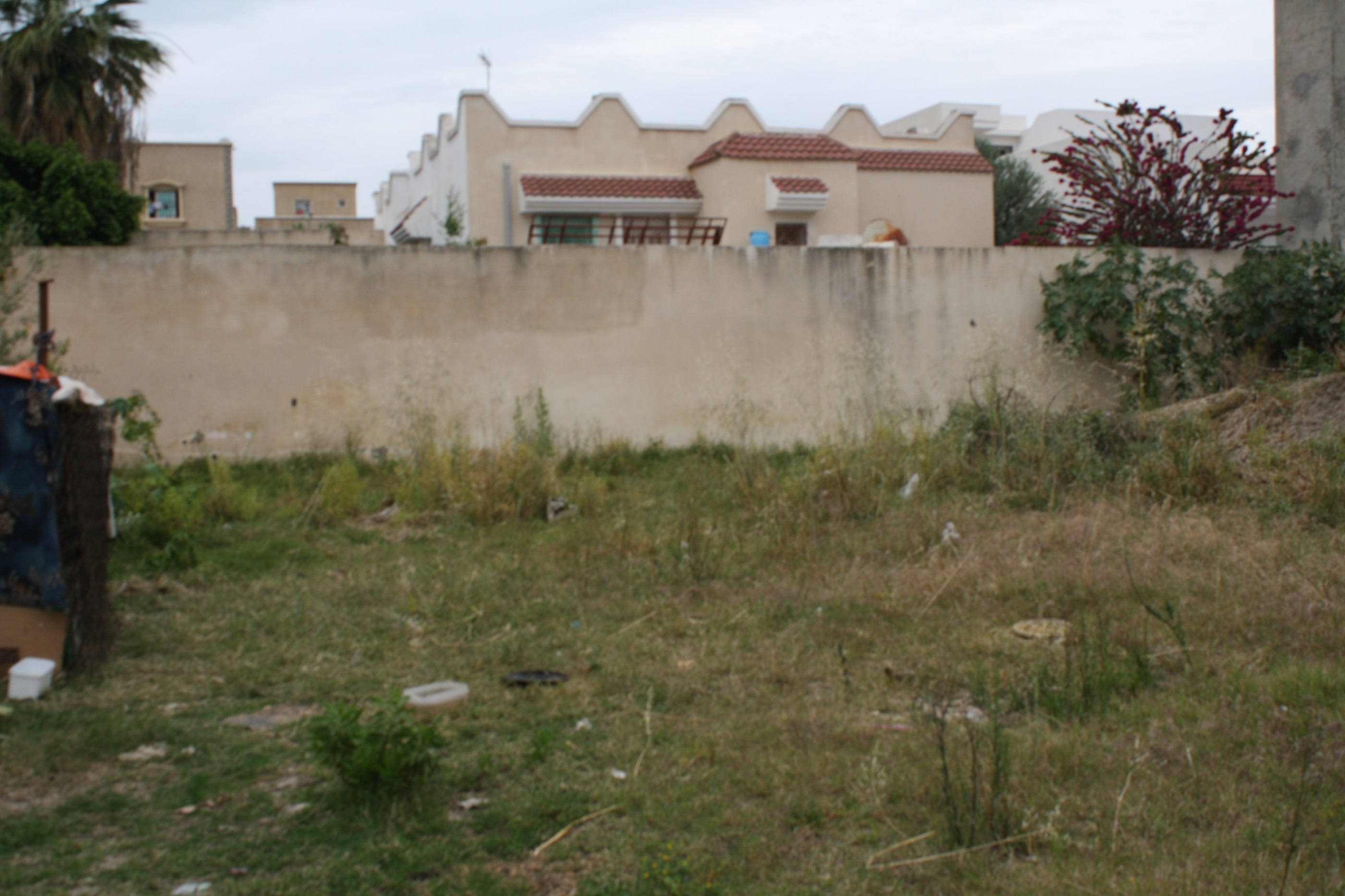 Hammam Chatt Hammam Chatt Terrain Terrain nu Gps  terrain nu titr