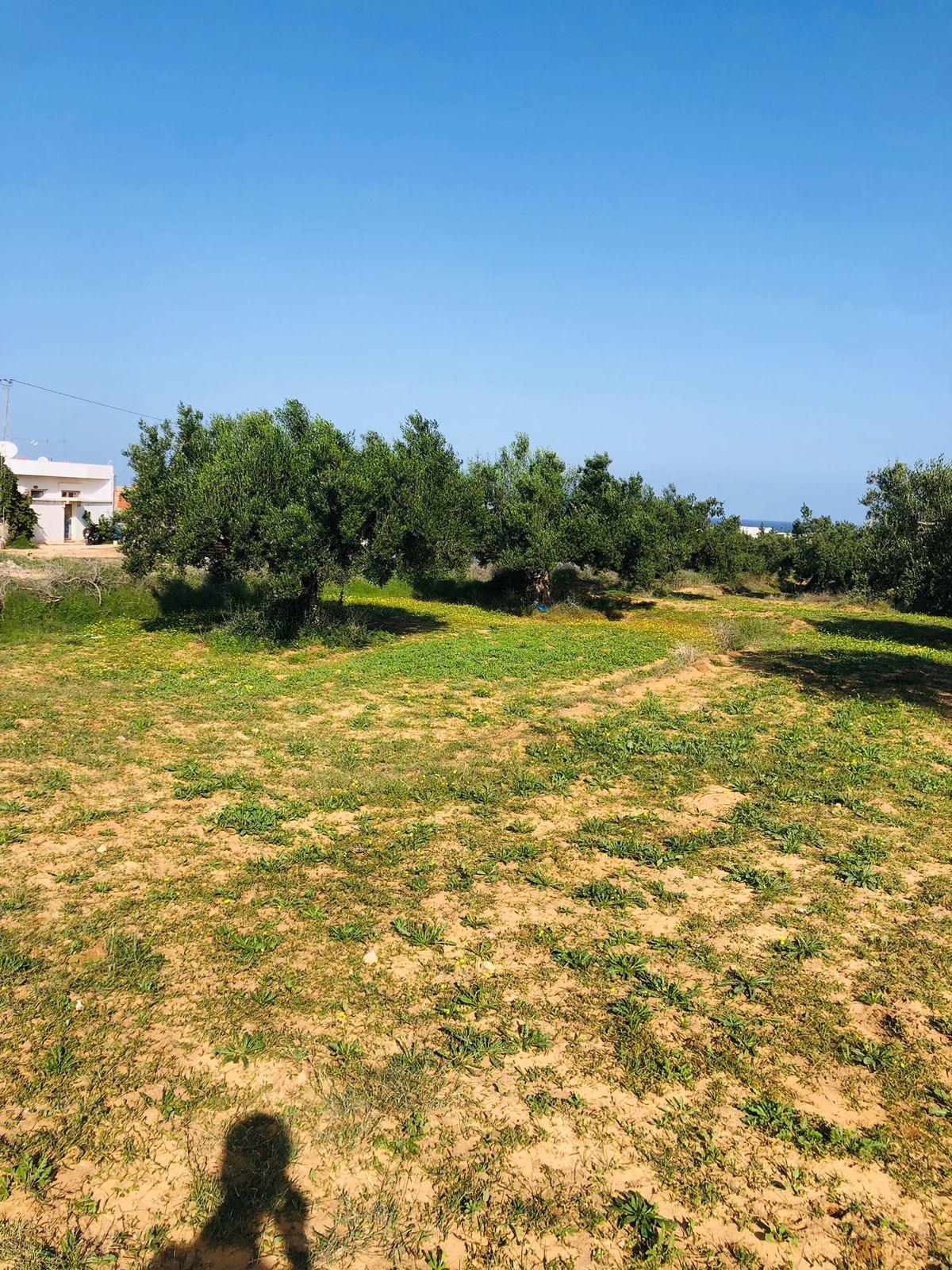 Akouda Chatt Meriem Terrain Terrain nu Lot 300 m2 vue mer