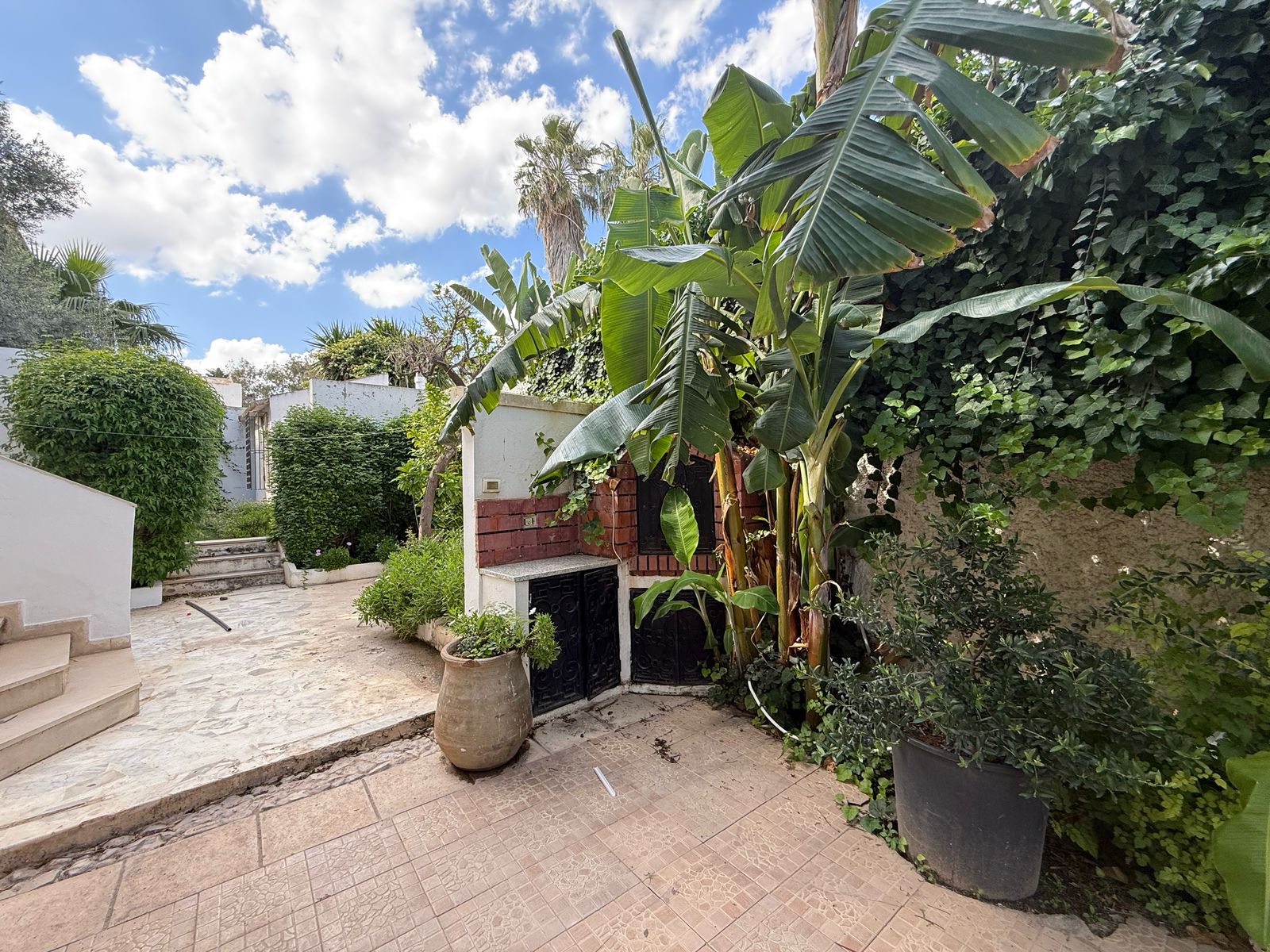 Carthage Cartage Byrsa Location Maisons Villa vue mer et piscine