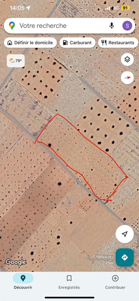 Sakiet Ezzit Sakiet Ezzit Terrain Terrain agricole Route de sfax km14