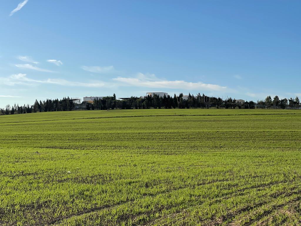 Bir Mcherga Jebel El Oust Terrain Terrain agricole Formidable super ferme 13h