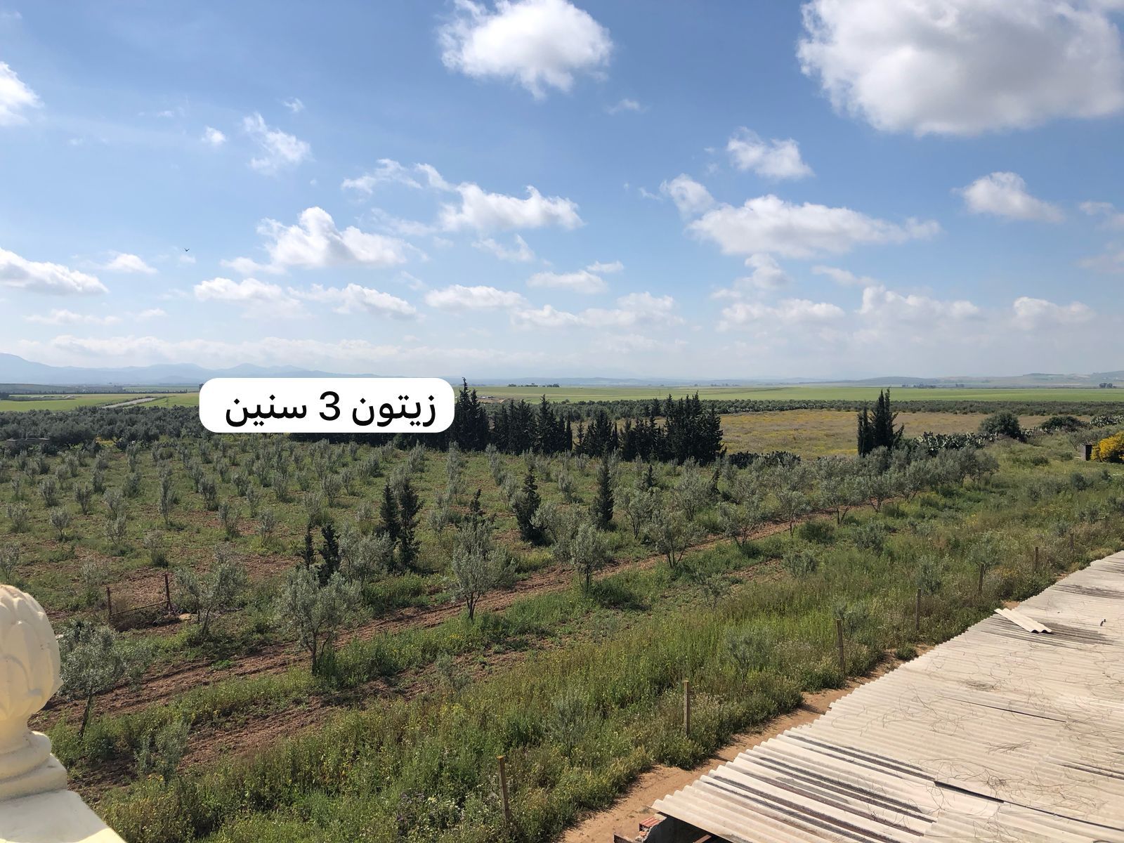 Bir Mcherga Bir Mcherga Terrain Terrain agricole Ferme 10 hectares bir mcherga