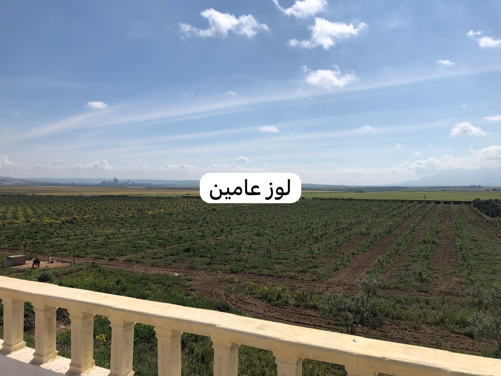 Bir Mcherga Bir Mcherga Terrain Terrain agricole Ferme 10 hectares bir mcherga