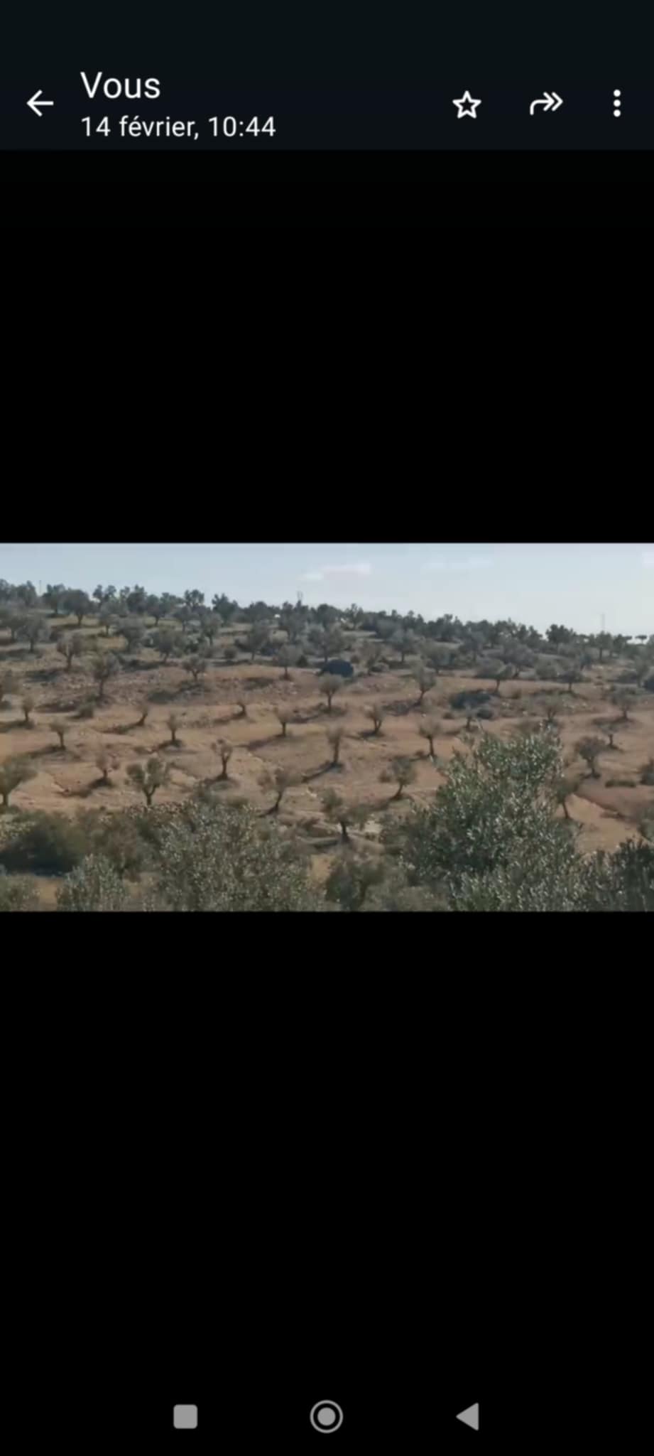 Bir Mcherga Boucha Terrain Terrain agricole 870 oliviers en pleine production