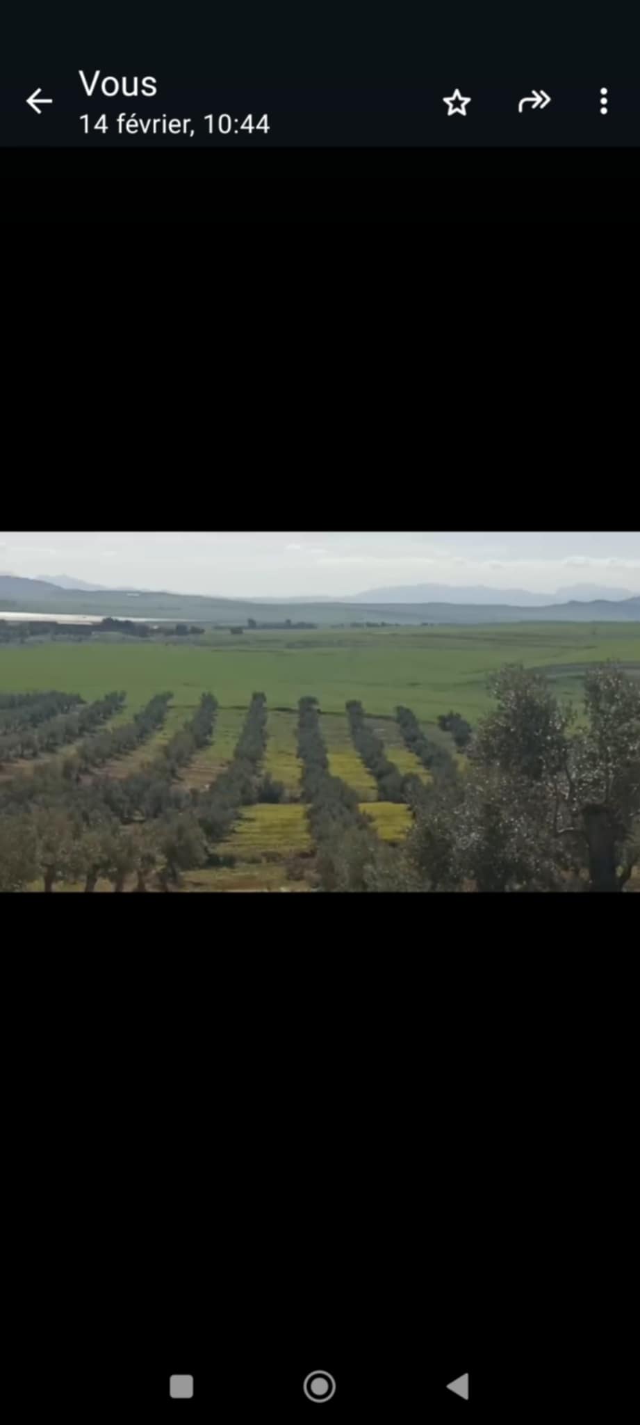 Bir Mcherga Boucha Terrain Terrain agricole 870 oliviers en pleine production