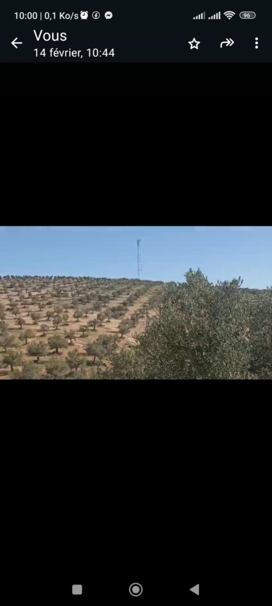 Bir Mcherga Boucha Terrain Terrain agricole 870 oliviers en pleine production