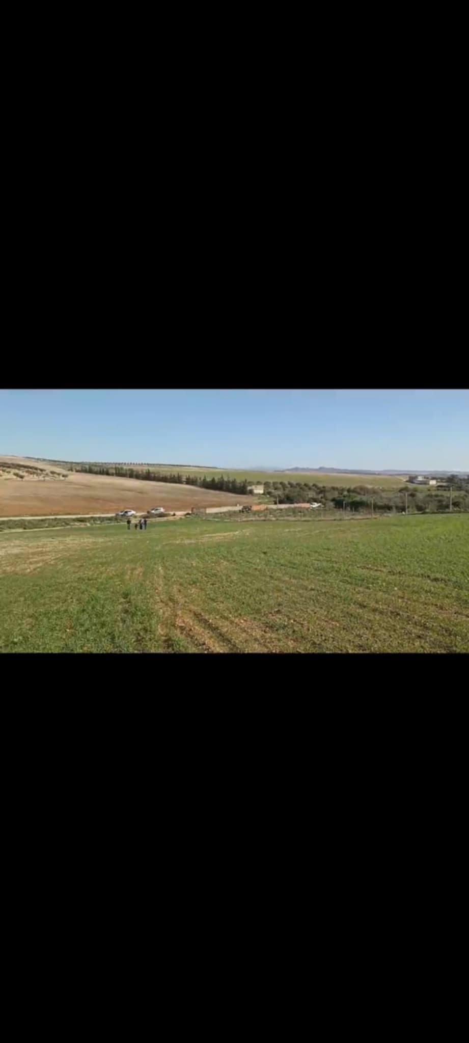 Bir Mcherga Bir Mcherga Terrain Terrain agricole 5 hectares excellent terrain agricole