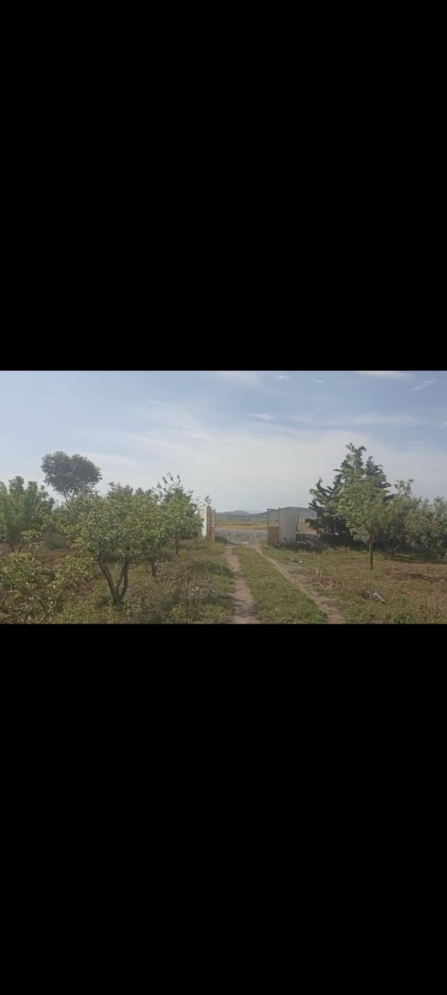Bir Mcherga Boucha Terrain Terrain agricole Une belle petite ferme de 1 hectare