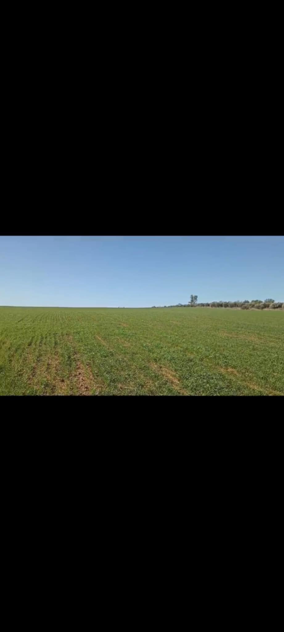 Bir Mcherga Bir Mcherga Terrain Terrain agricole 2 hectares pour une petite ferme