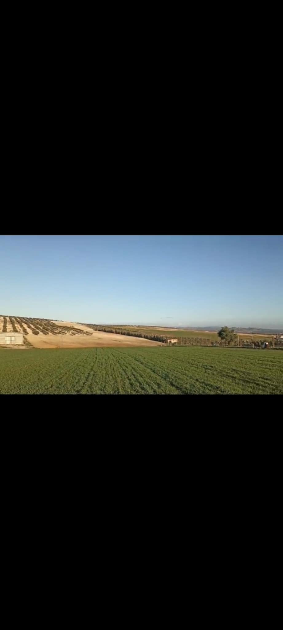 Bir Mcherga Bir Mcherga Terrain Terrain agricole 2 hectares pour une petite ferme