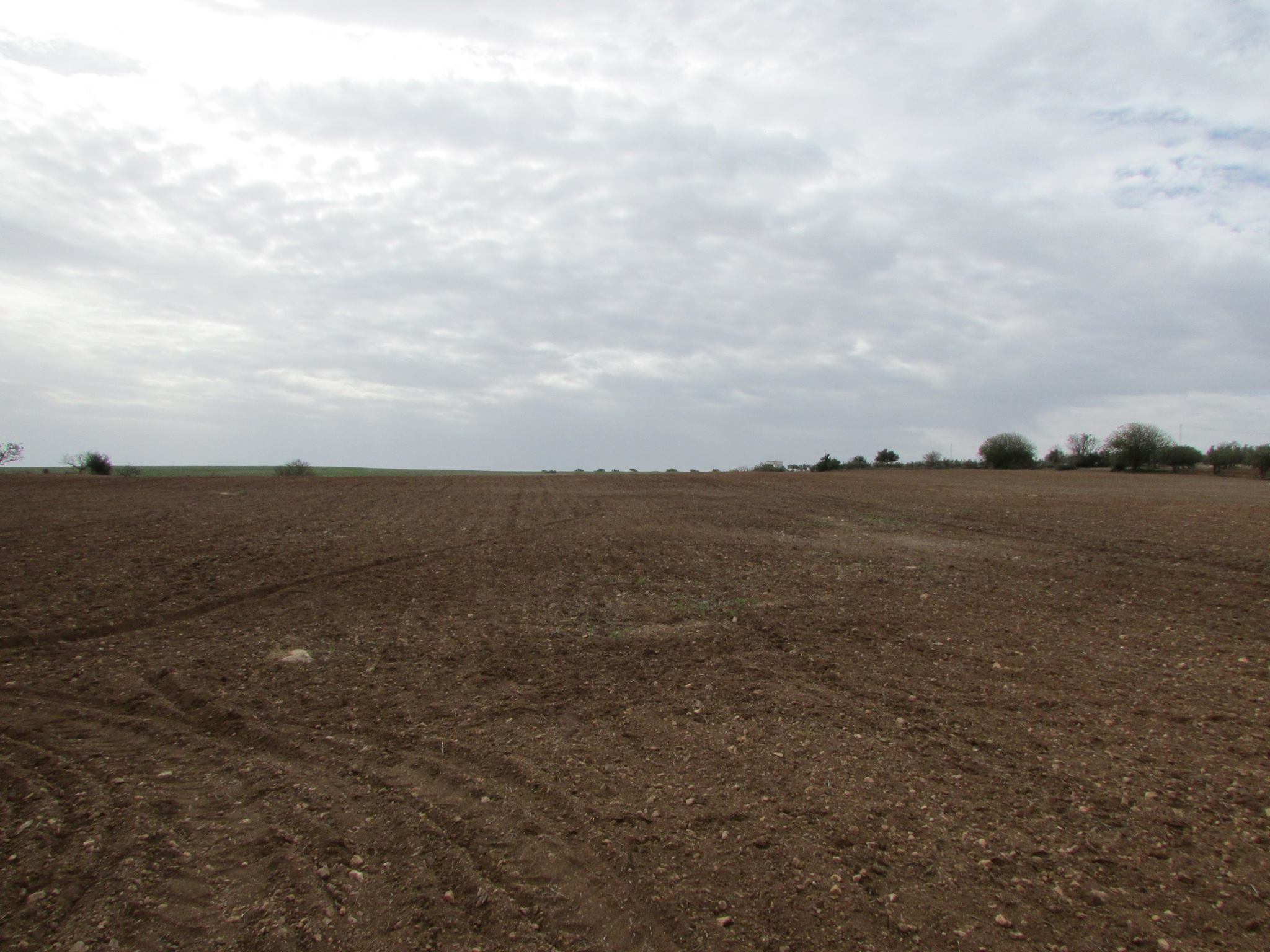 Bir Mcherga Bir Mcherga Terrain Terrain agricole 3 hectares pour une petite ferme