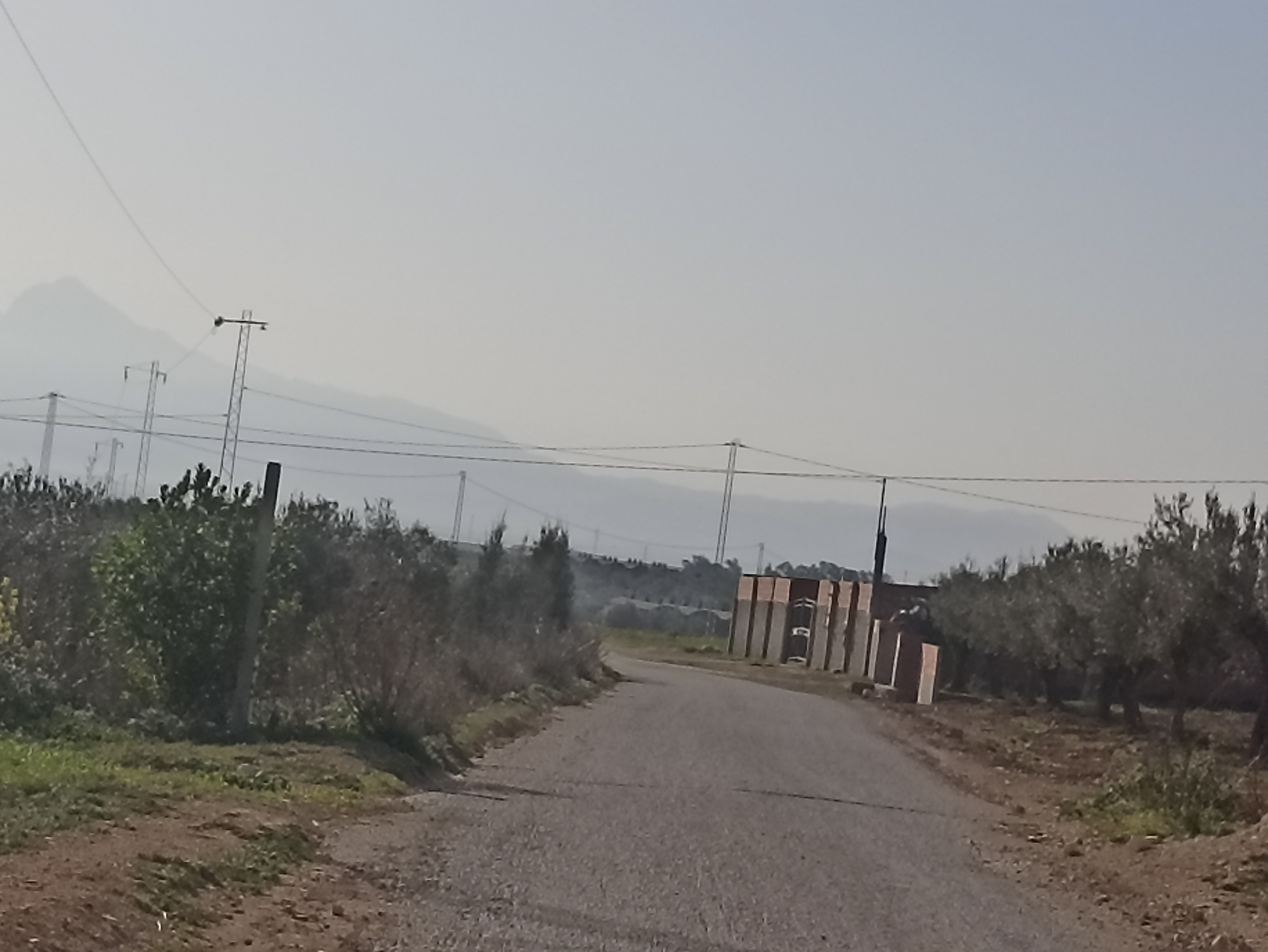 Bir Mcherga Bir Mcherga Terrain Terrain agricole 3 hectares pour une petite ferme