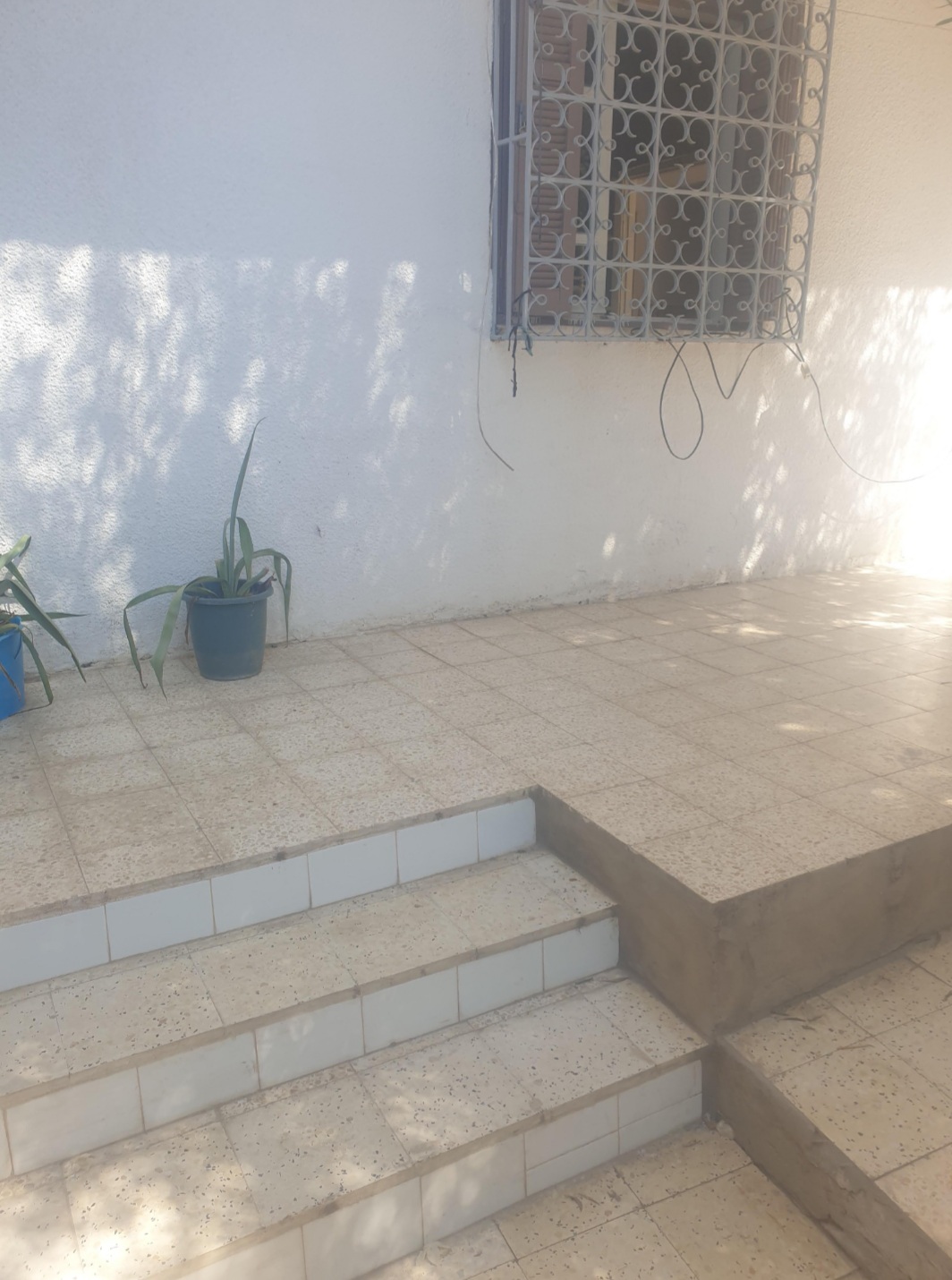 Le Bardo Le Bardo Location Maisons Maison  bardo