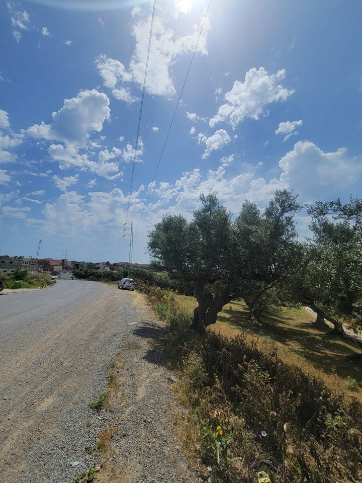 Bizerte Nord Bizerte Terrain Terrain nu Terrain borj taleb