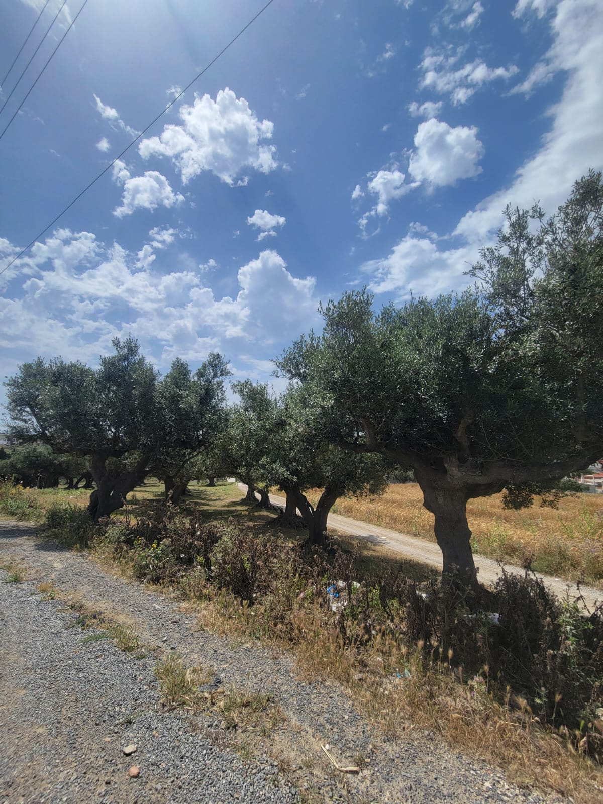 Bizerte Nord Bizerte Terrain Terrain nu Terrain borj taleb