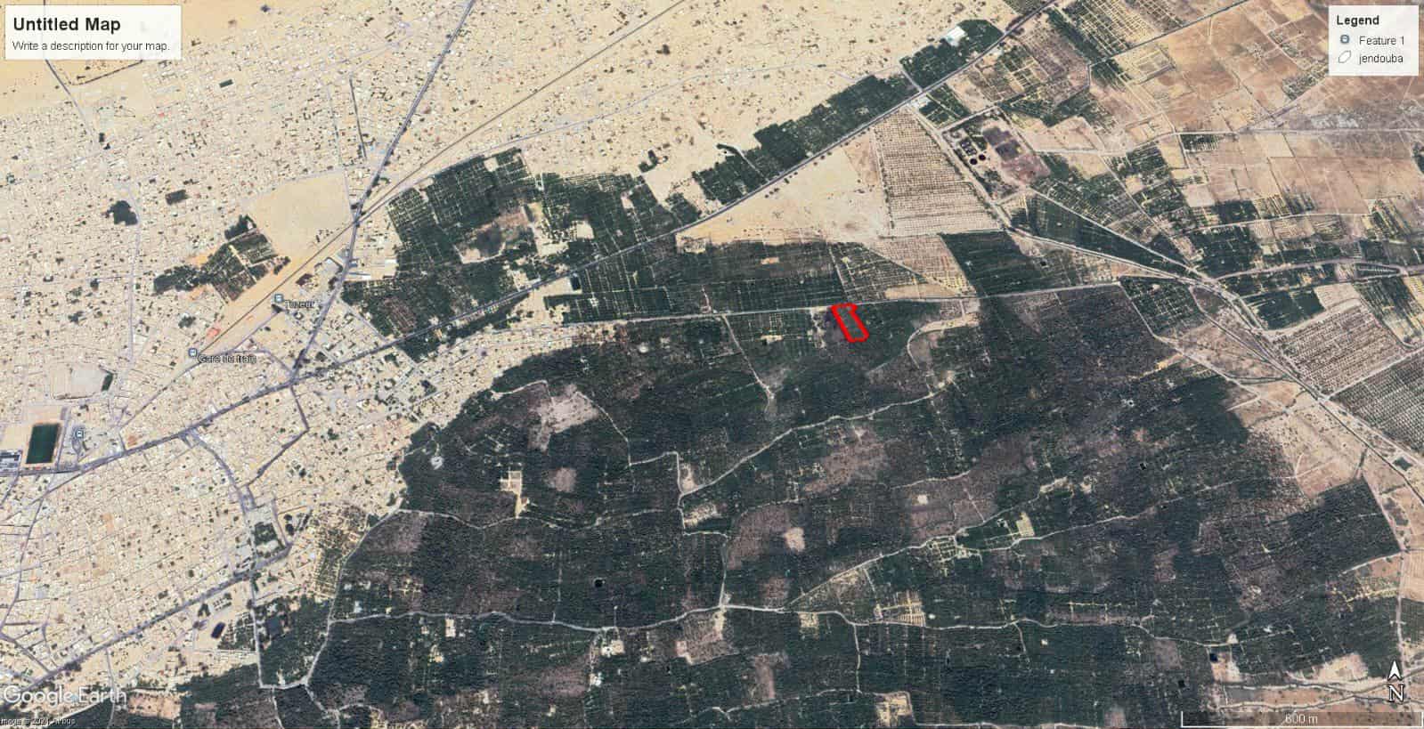 Tozeur Cite Tebebsa Terrain Terrain agricole Palmeraie  tozeur