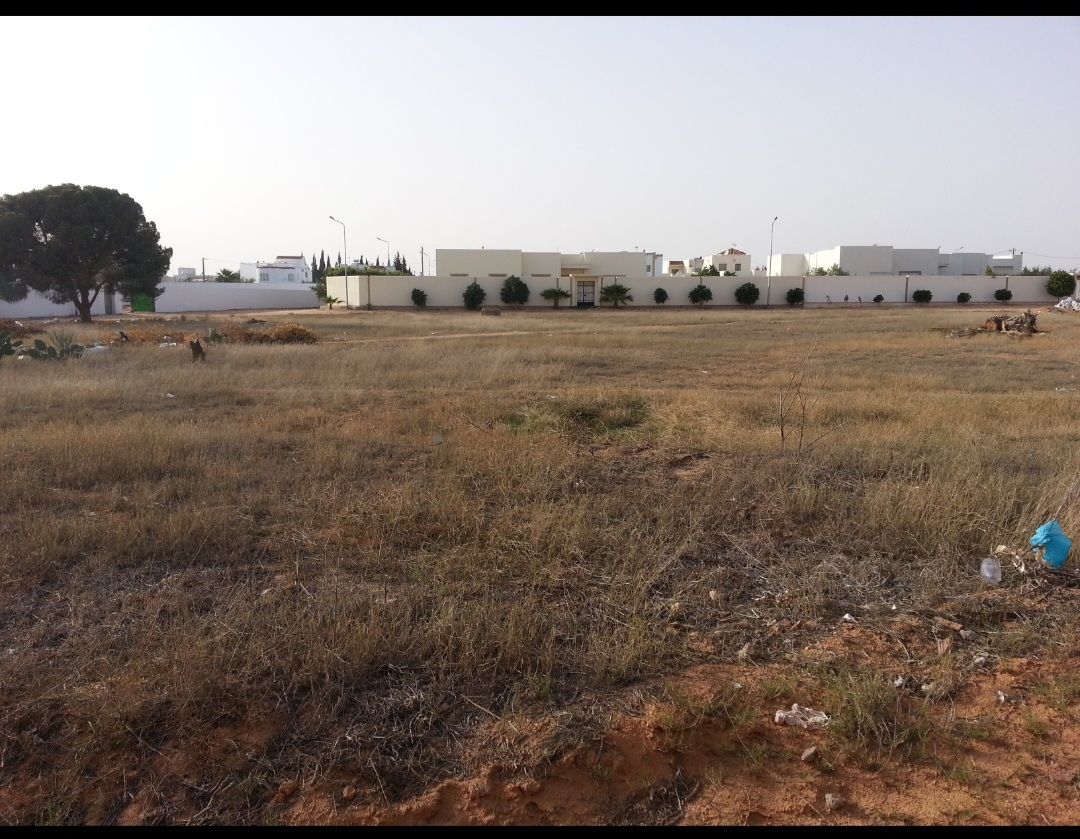 Menzel Chaker Menzel Hedi Chaker Terrain Terrain nu Terrain de 6500 m2  menzel cheker sfax