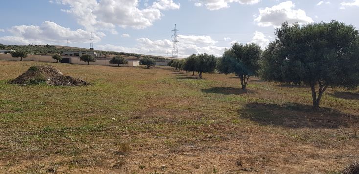 Ariana Ville Riadh Landlous Terrain Terrain nu Terrain  ennahli 514m