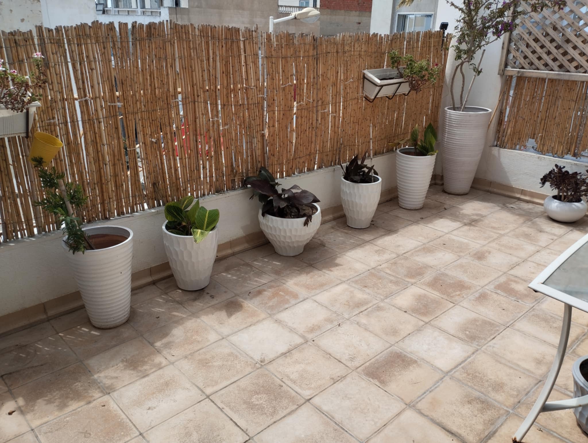 Hammamet Hammamet Location vacances Appart. 2 pices Jolie appartement  2 pas de la plage