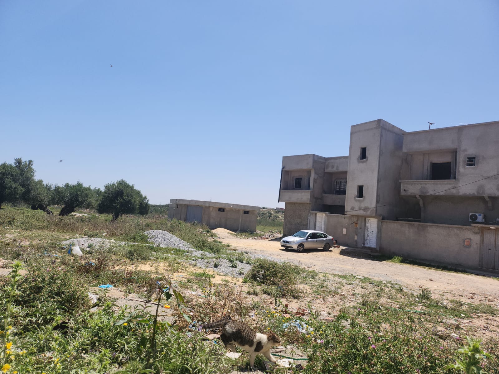 Sousse Riadh Zaouiet Sousse Terrain Terrain nu Besoin argent lot de terrain a zaouiet ss