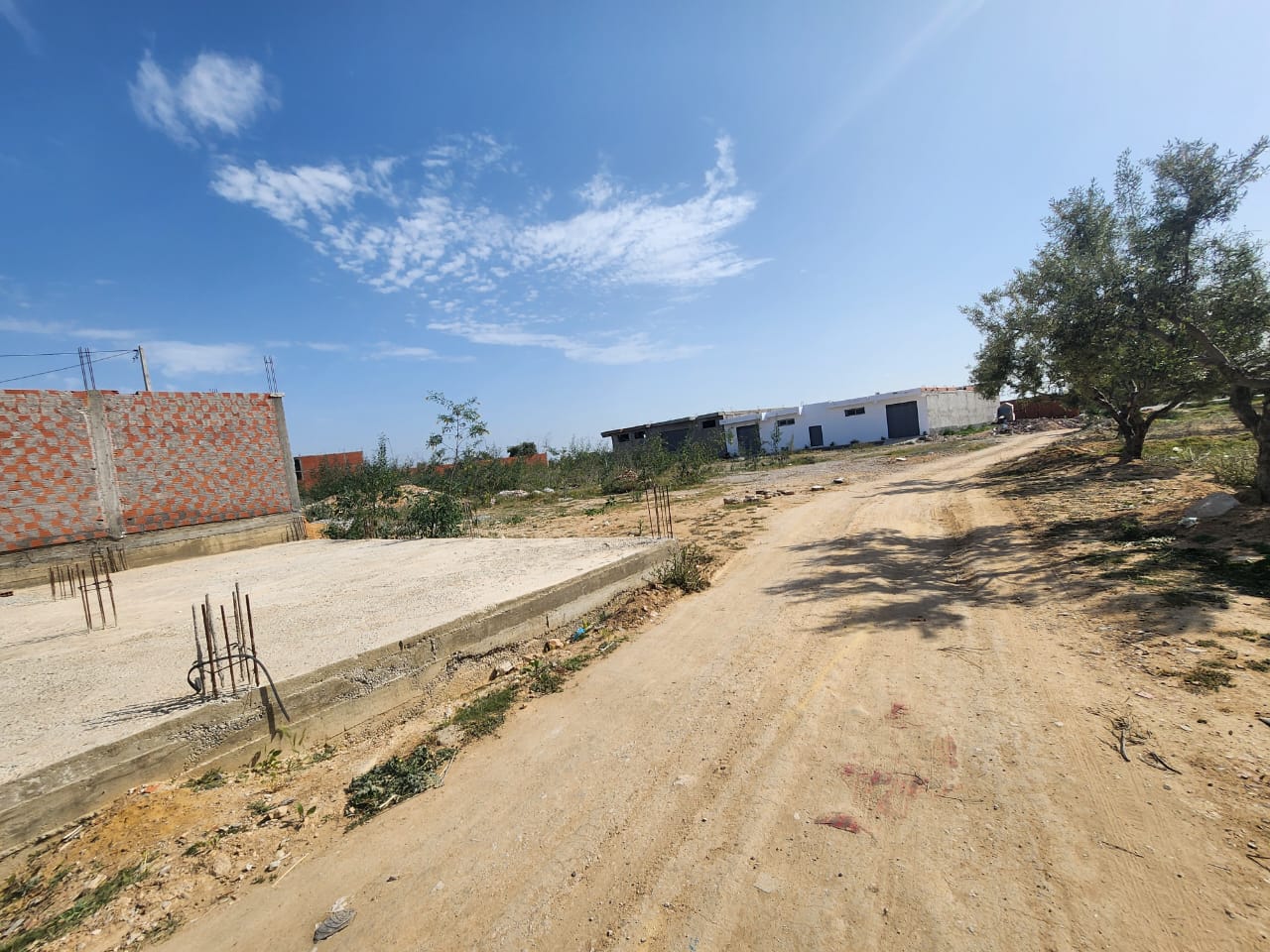 Sousse Riadh Zaouiet Sousse Terrain Terrain nu Besoin argent lot de terrain a zaouiet sousse