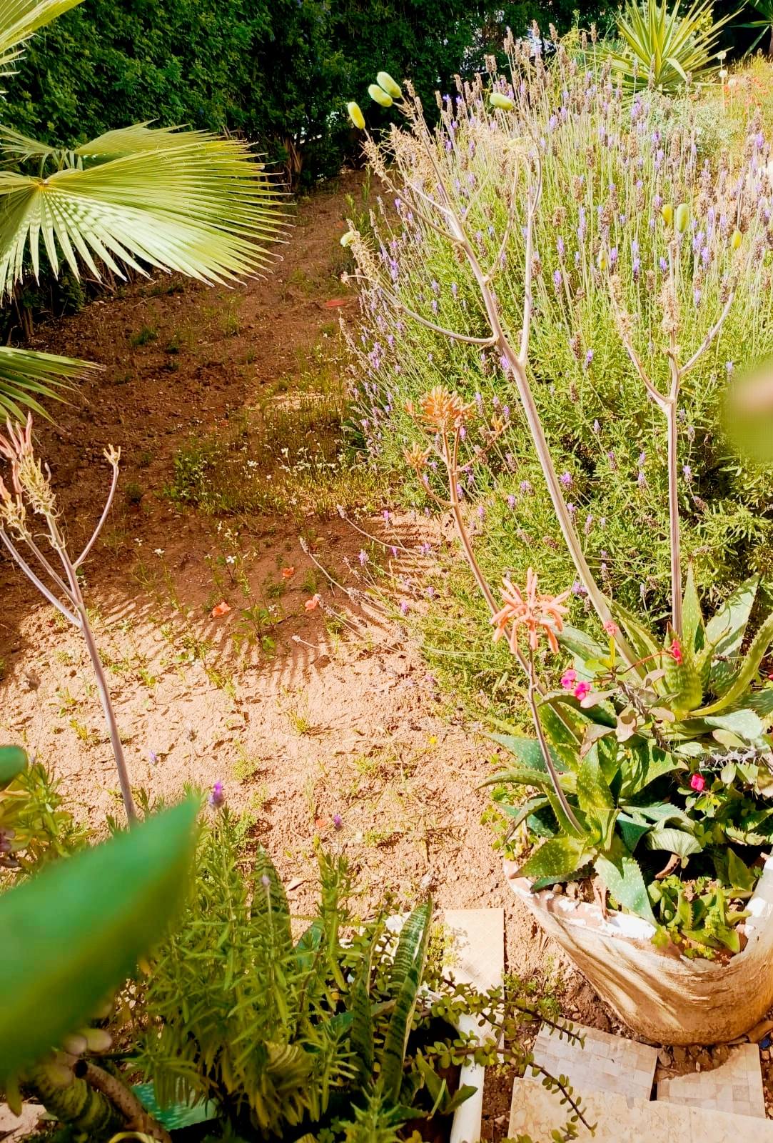 Ariana Ville Cite Ennasr 2 Location Appart. 5 pices+ Ennasr spacieux appartement ssm et 3 chambres