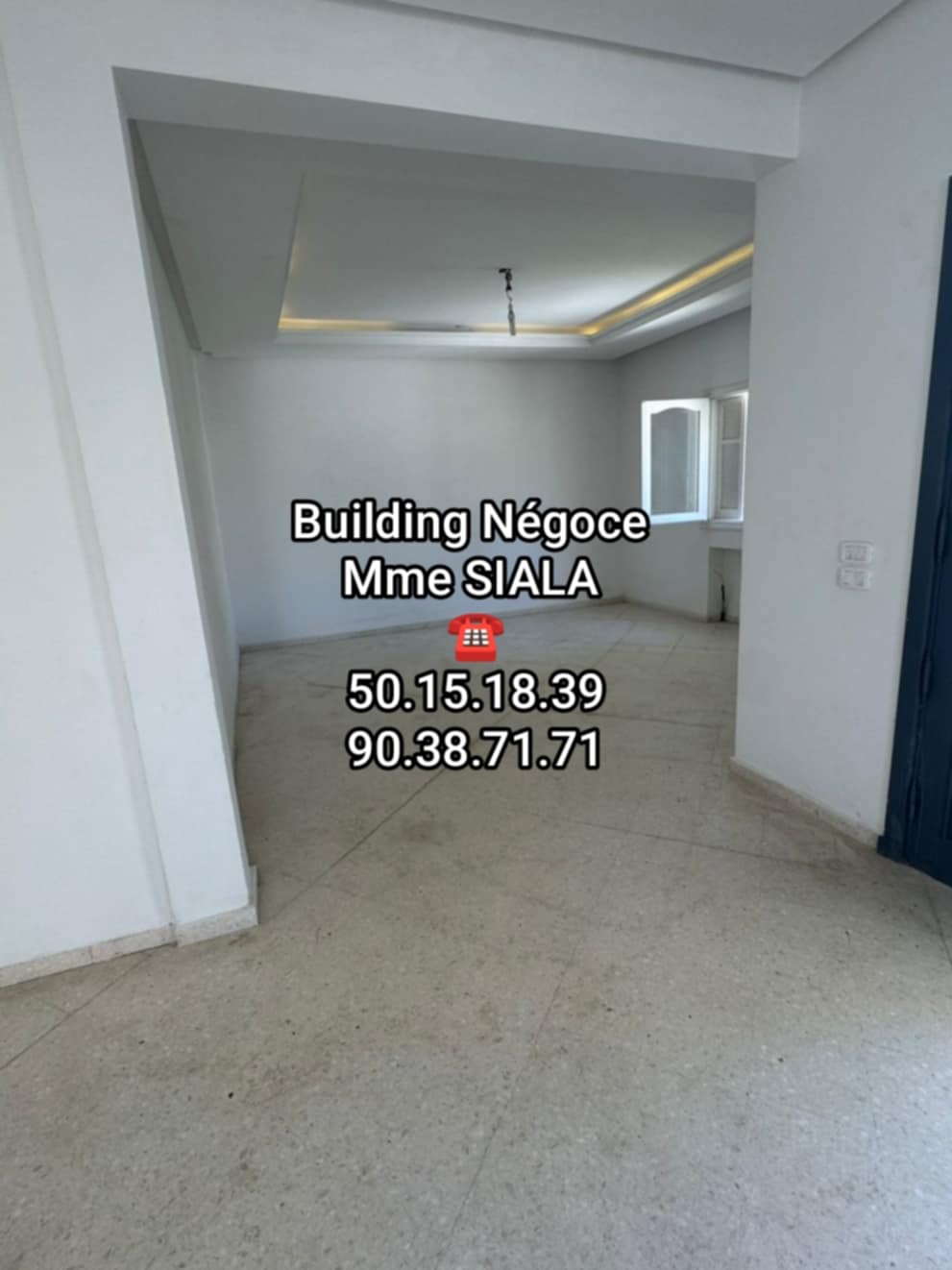 La Soukra Borj Louzir Location Maisons Borj louzir joli rdc villa haut stg