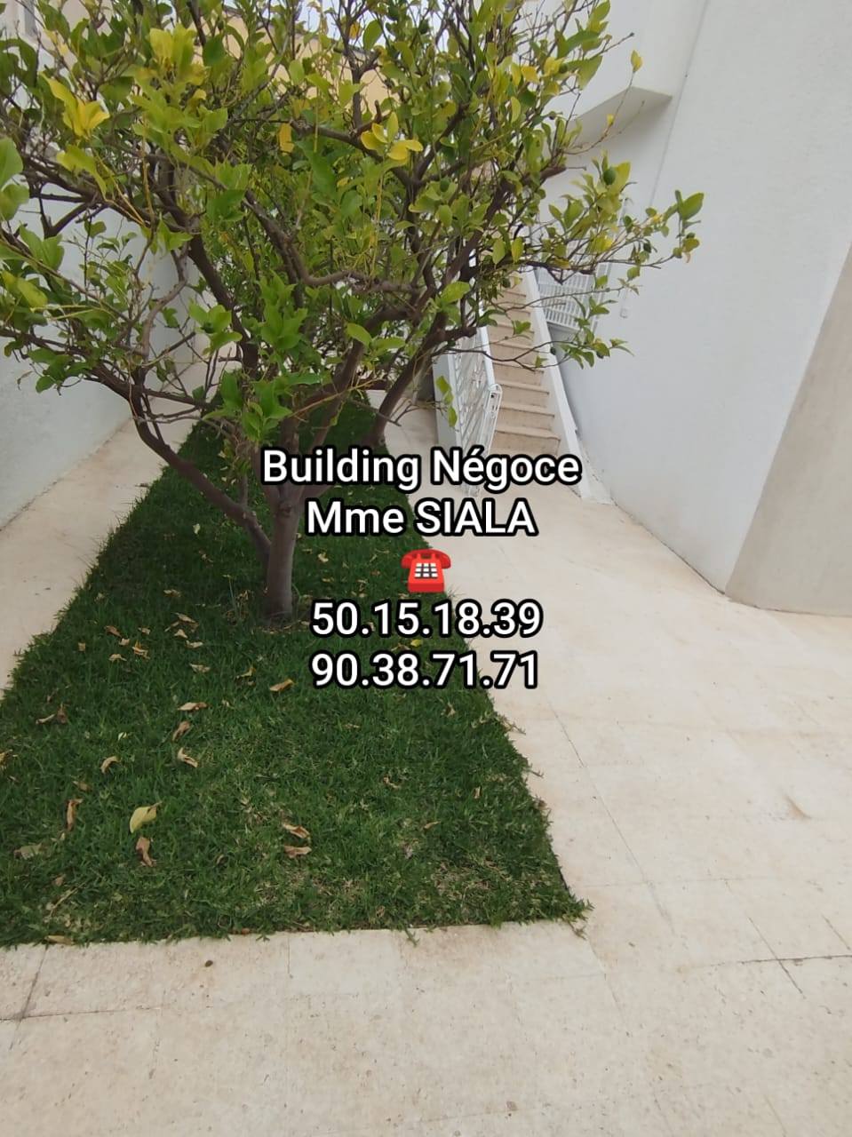 La Soukra Borj Louzir Location Maisons Borj louzir spacieux tage villa  s3