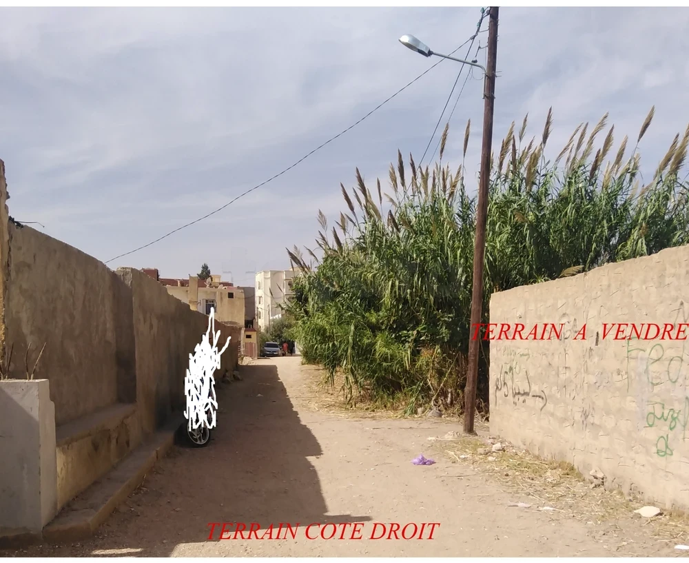 Gafsa Sud Cite Bayech Terrain Terrain nu Lots de 500 mettre carr  gafsa