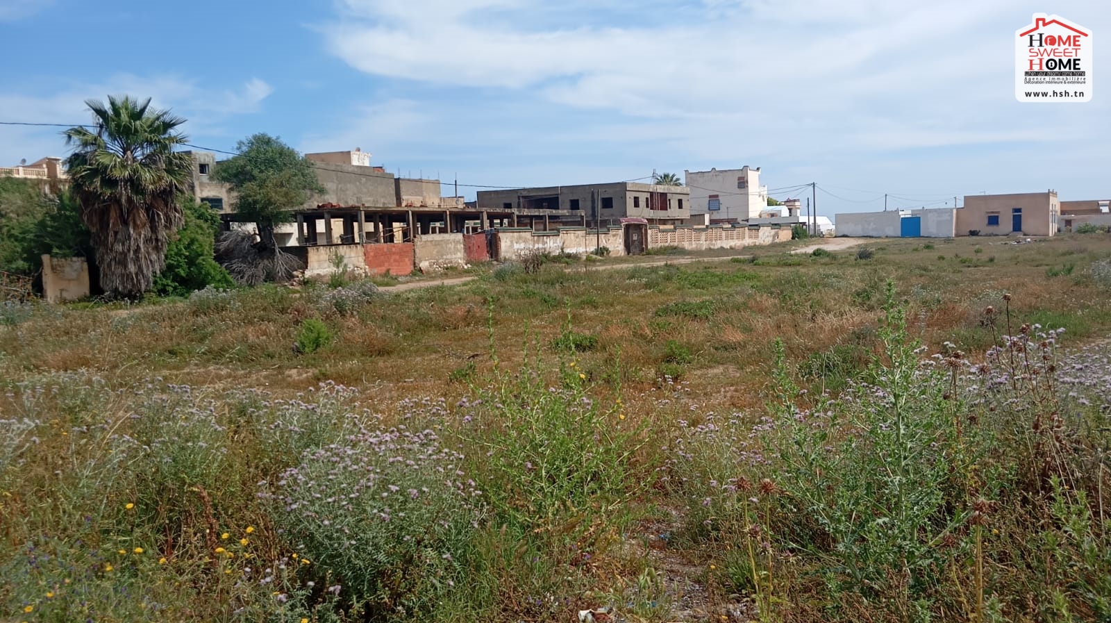 Raoued Raoued Vente Surfaces Terrain villa aphrodite  raoued plage