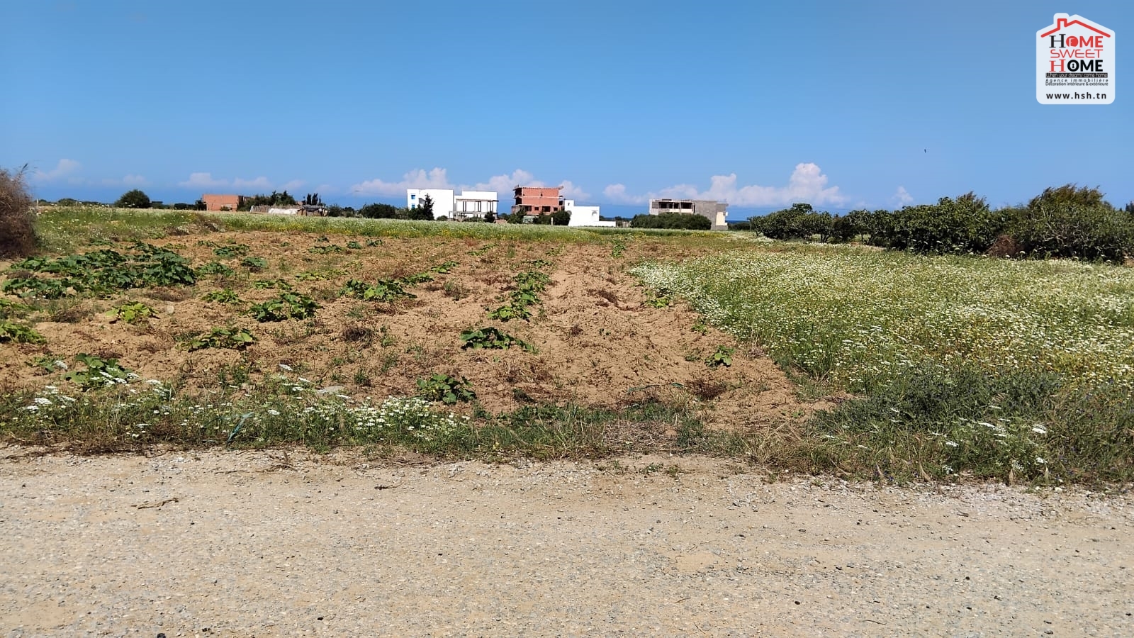 Kelibia Kelibia Vente Surfaces Terrain villa lana  klibia