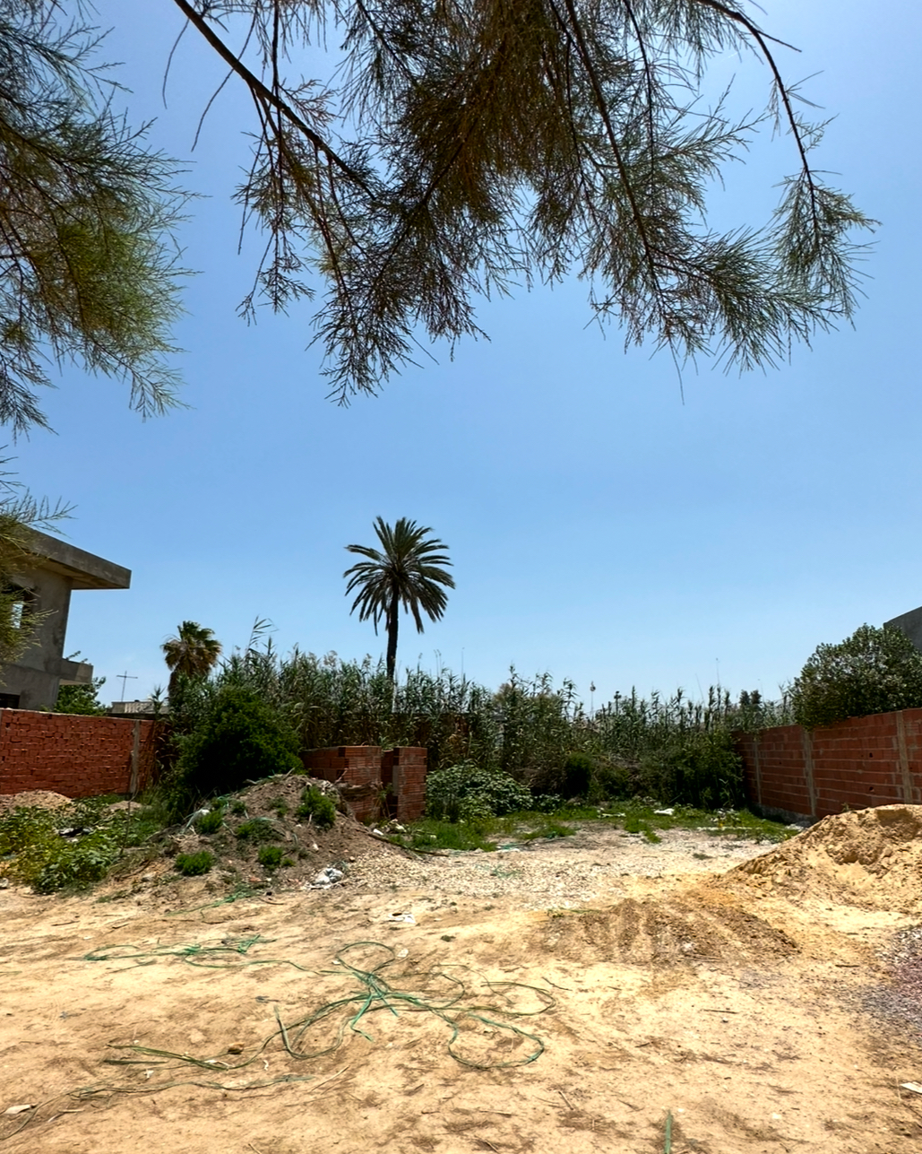 La Soukra Sidi Frej Terrain Terrain nu Beau terrain la soukra sidi fredj 400m2  730dt m2