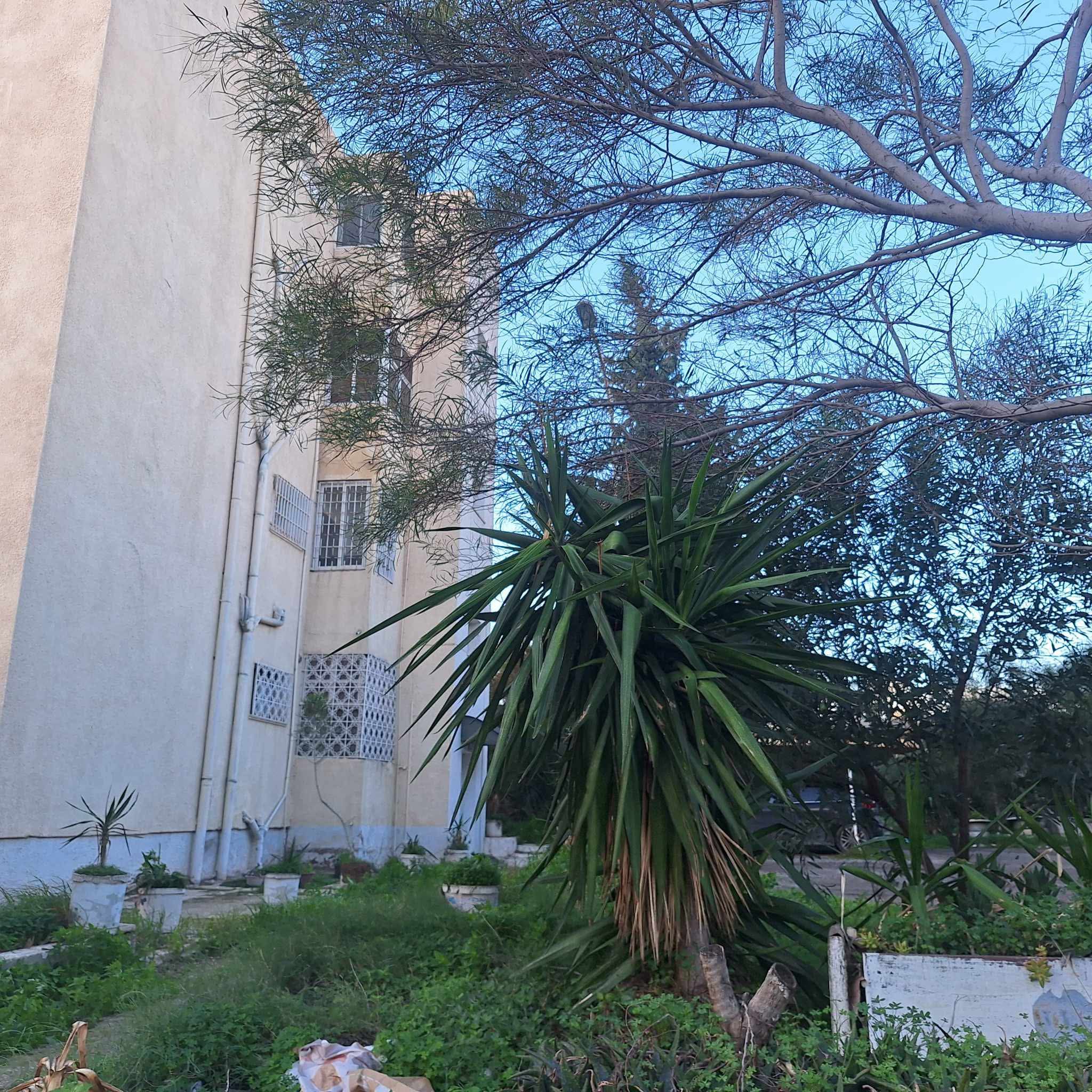El Menzah El Menzah 4 Vente Appart. 4 pices Appartement el menzah 4