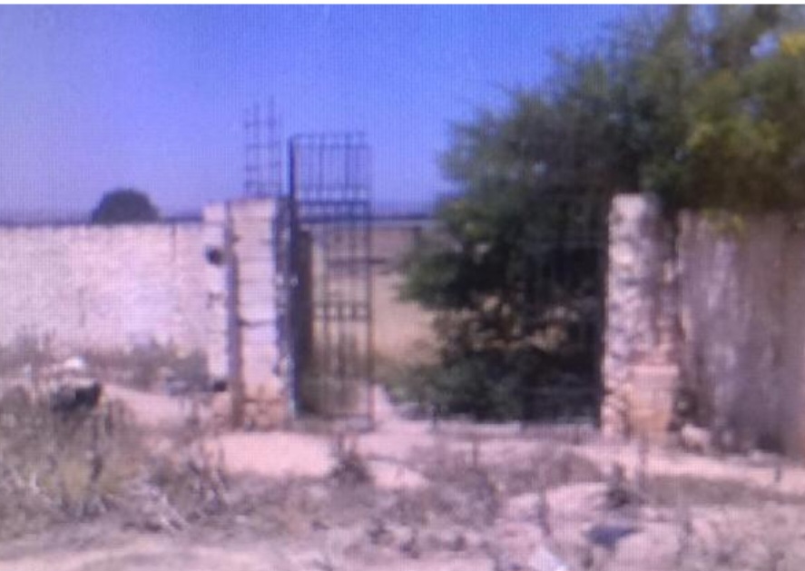 Bir Mcherga Jebel El Oust Terrain Terrain agricole Terrain 6667 m2
