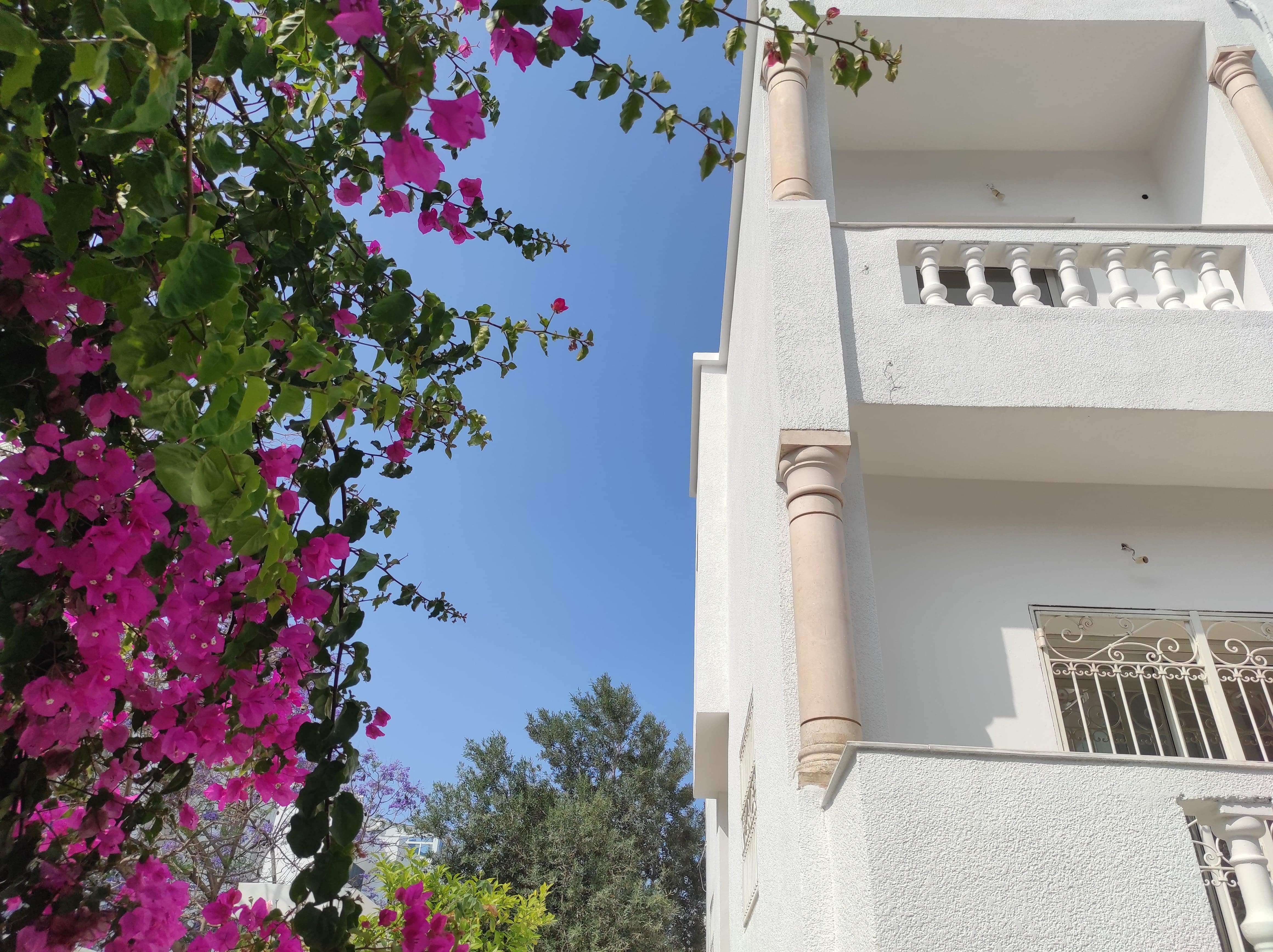 La Marsa Berge Du Lac Location Maisons Villa pour bureau 24 pices lac2
