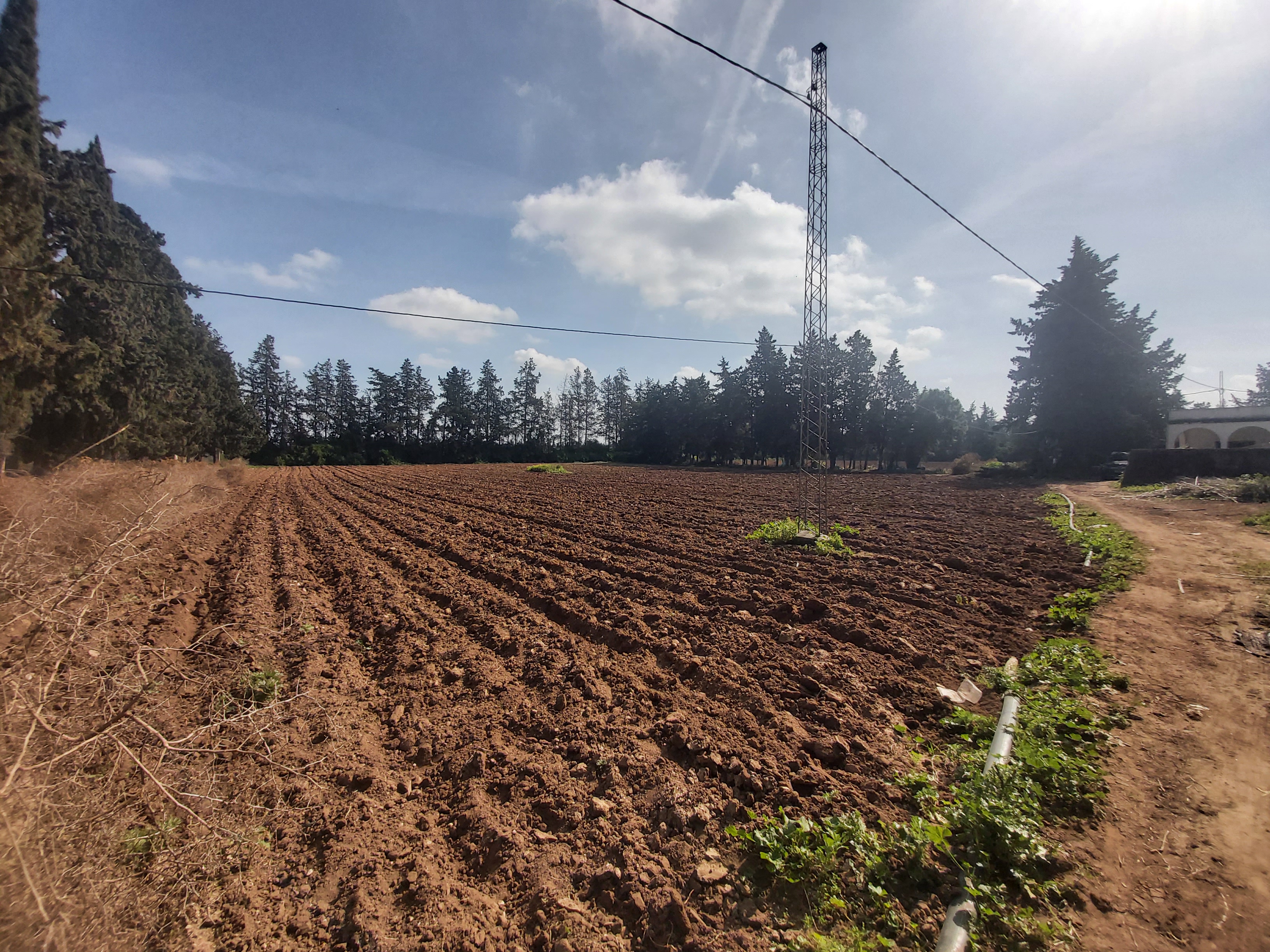Soliman Cherifate Terrain Terrain agricole Ferme agricole  soliman