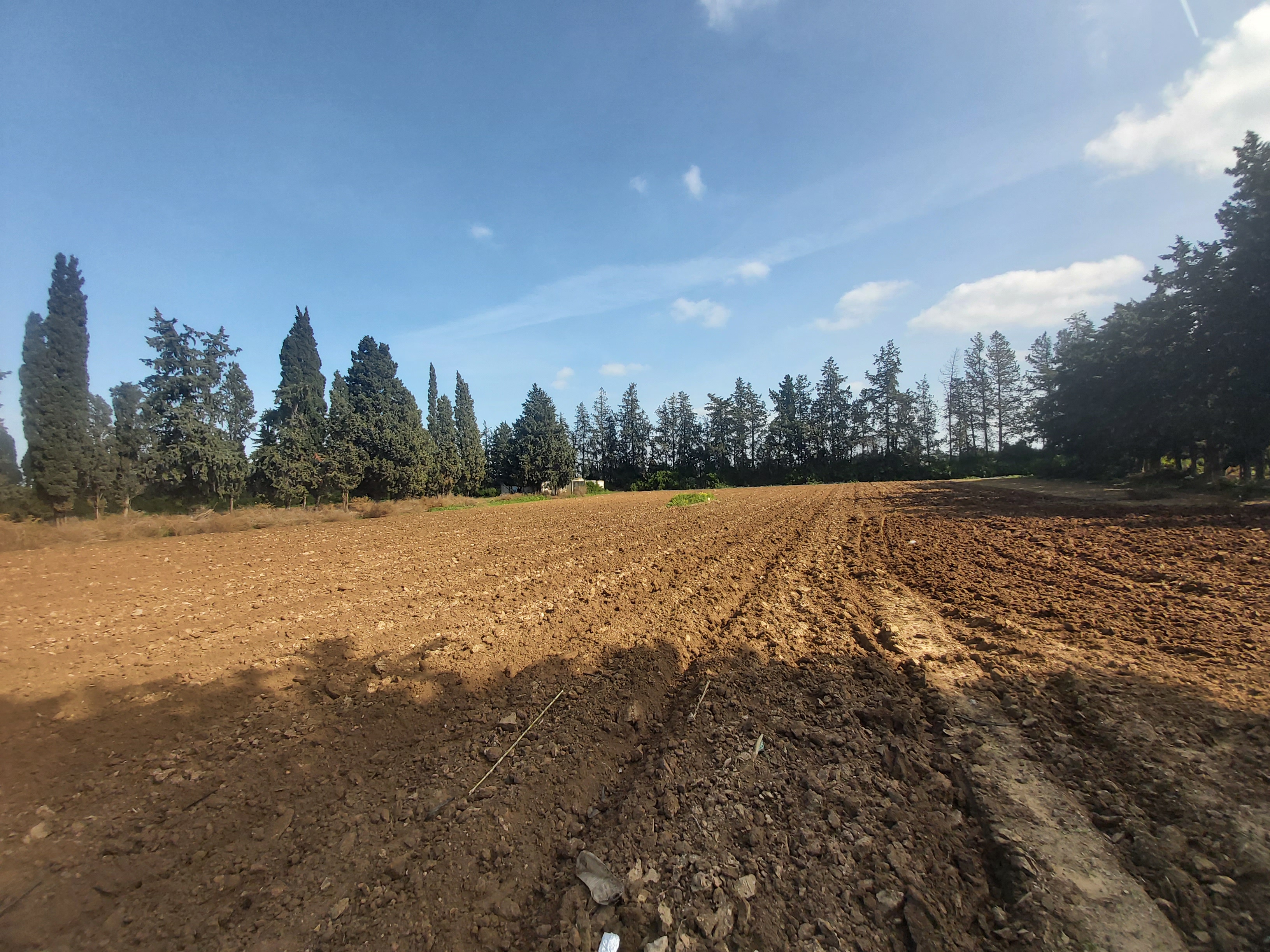 Soliman Cherifate Terrain Terrain agricole Ferme agricole  soliman