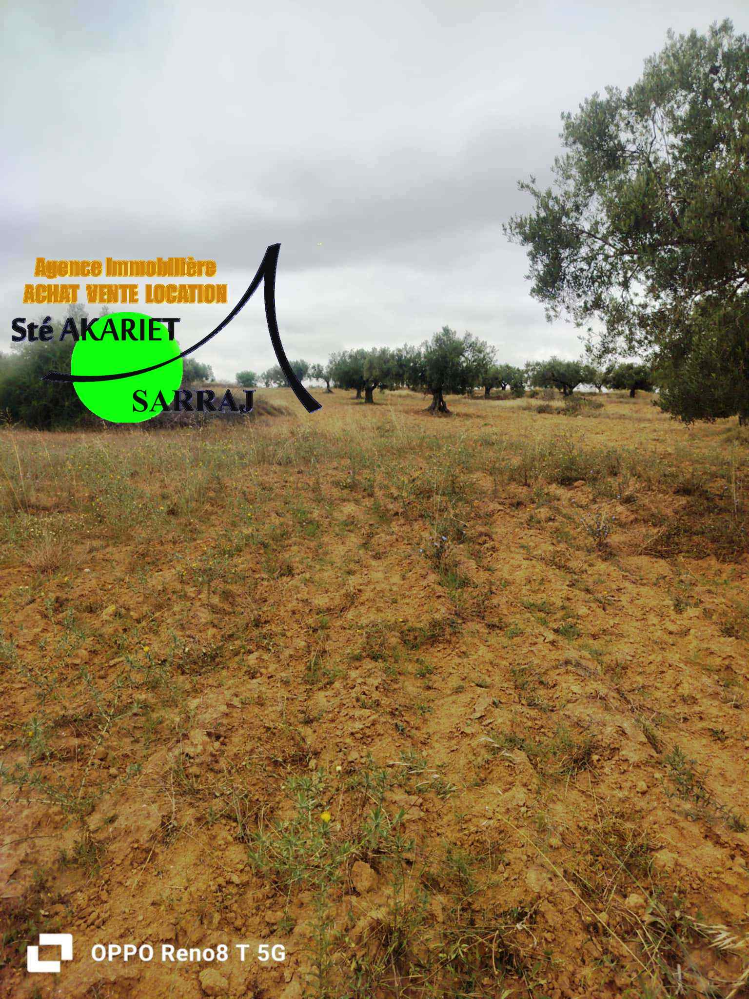 Kalaa El Kebira Kalaa El Kebira Terrain Terrain agricole Bon offre terrain agricole 14000m  kalaa kebira