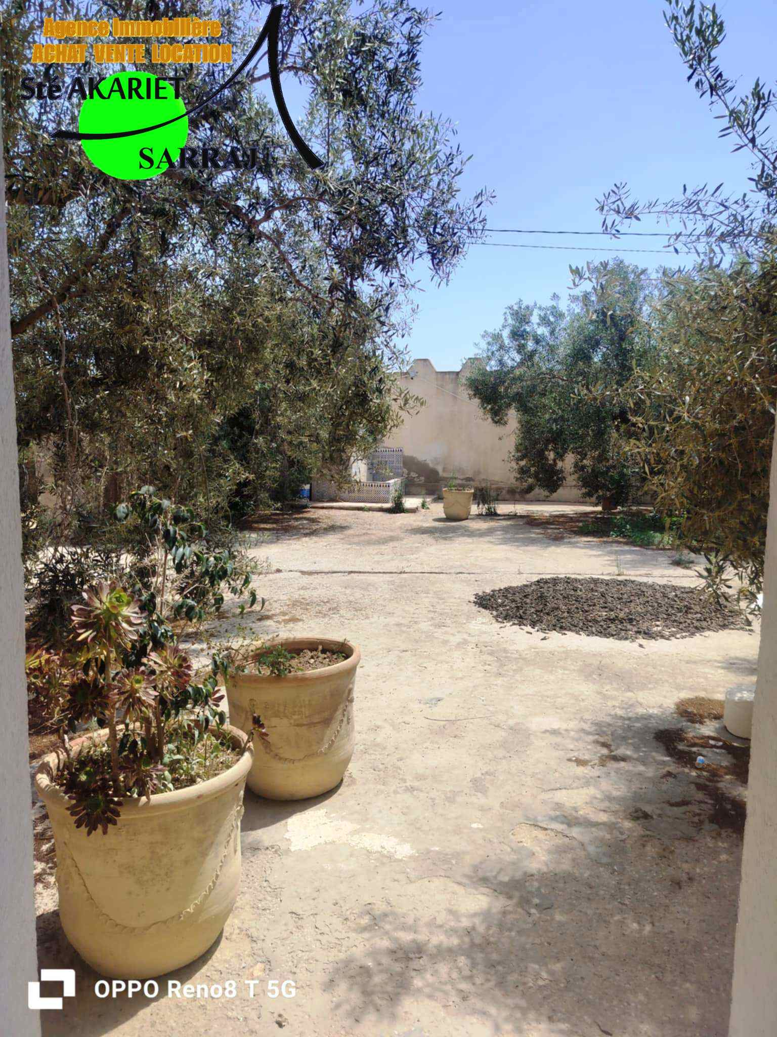 Kalaa El Kebira Chiab Terrain Terrain agricole Senia cltur 12000m  kalaa kbira chiab
