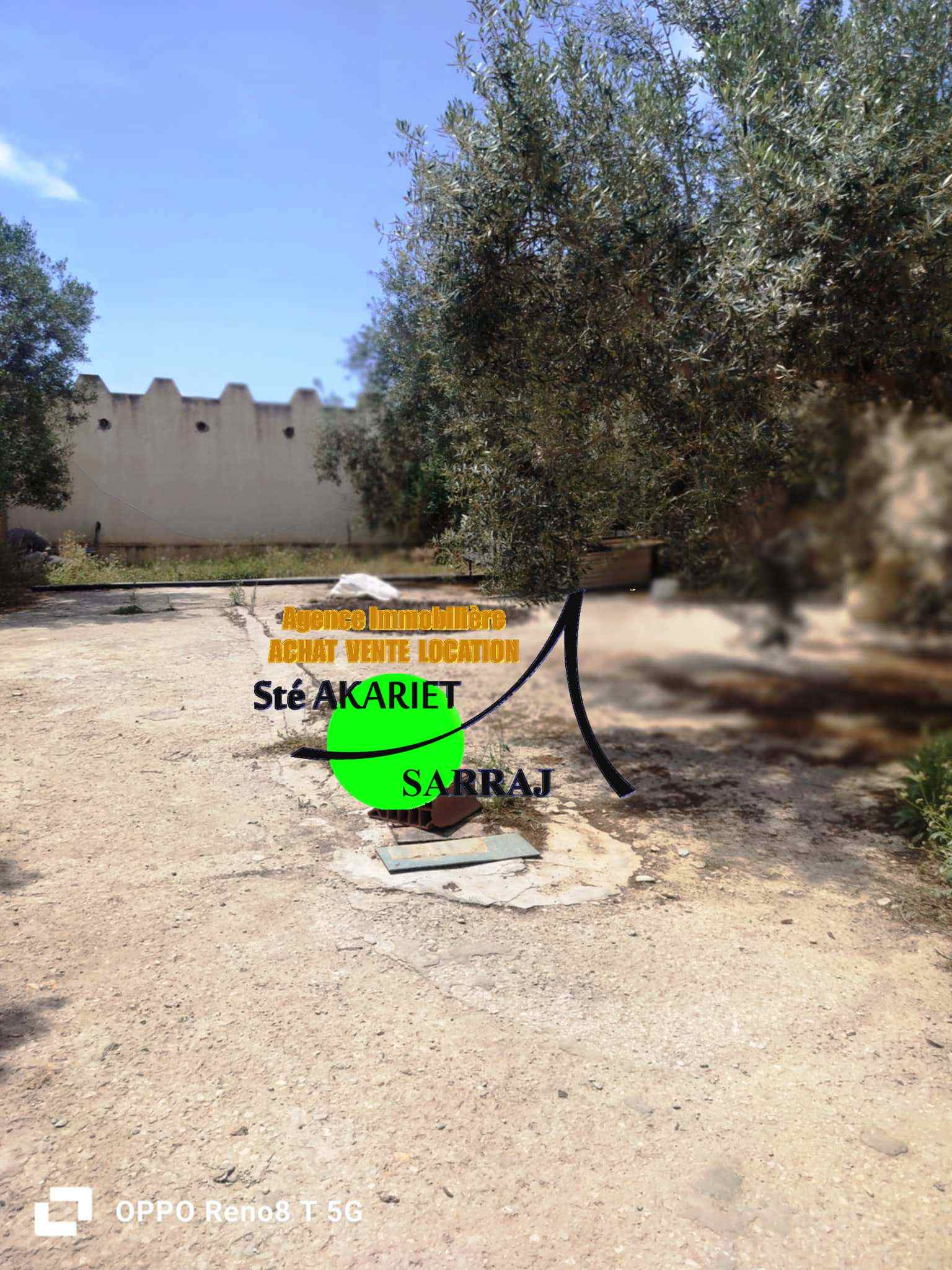 Kalaa El Kebira Chiab Terrain Terrain agricole Senia cltur 12000m  kalaa kbira chiab