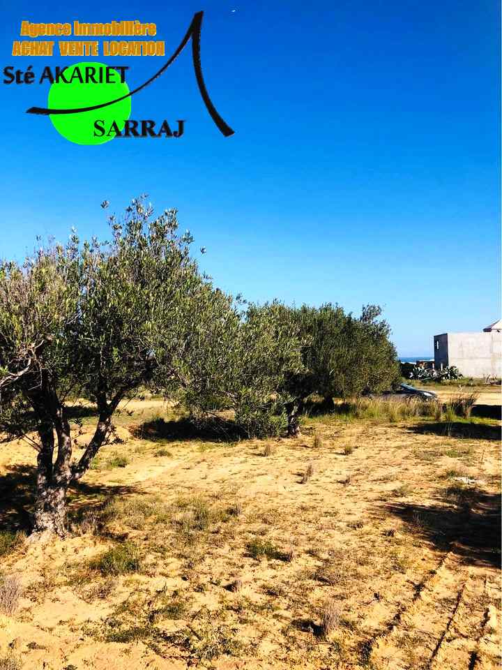 Akouda Chatt Meriem Terrain Terrain agricole Terrain 406m vue de mer  koussour gharnata